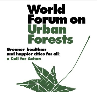 Call for technical committee members for 1st&nbsp;Africa Forum on Urban Forests (AFUF)
