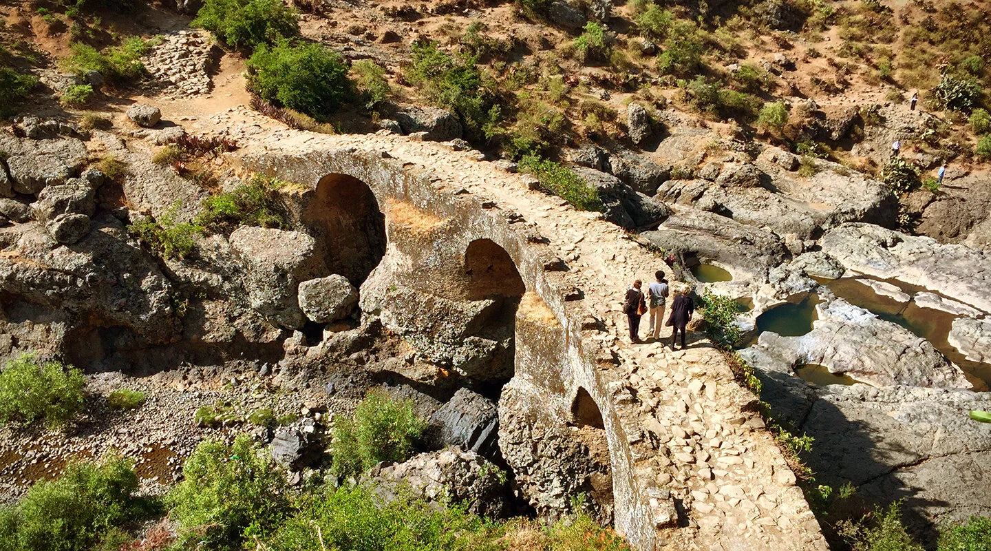 IFLA Africa News - February 2021