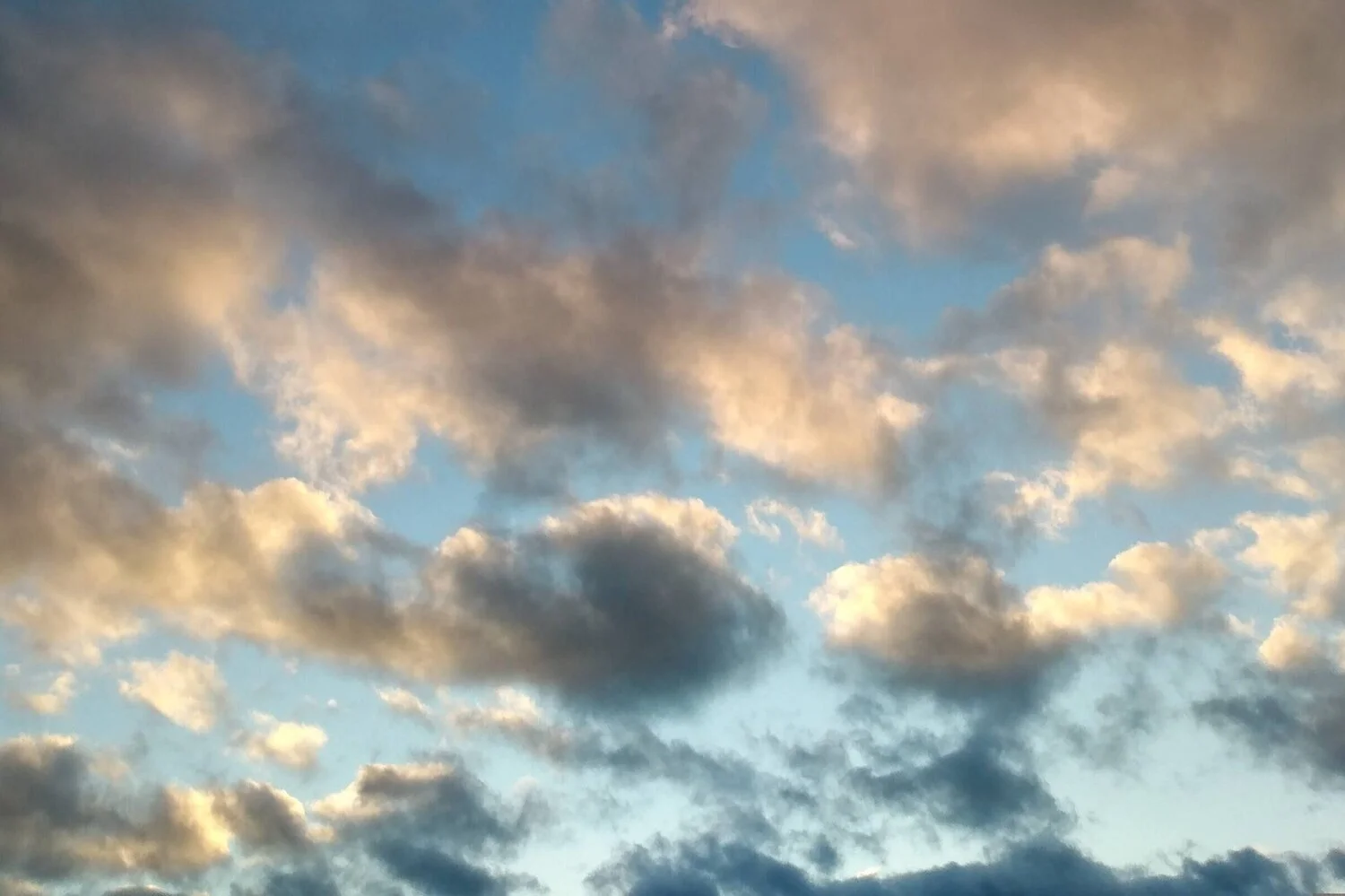 Call for Chair of IFLA Sponsorship Working Group