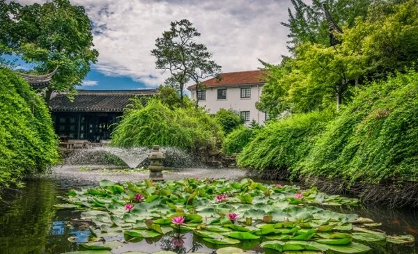 IFLA APR Newsletter - February 2021