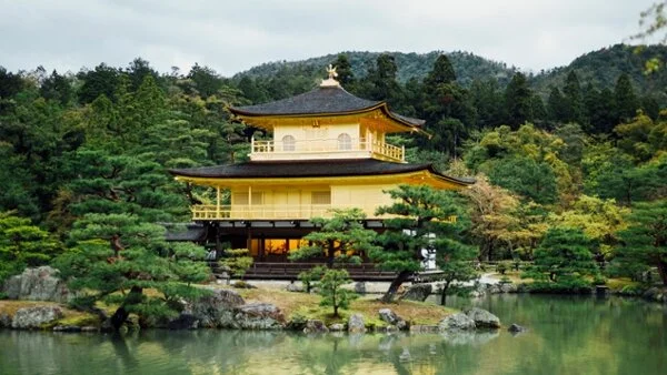 IFLA APR Newsletter - March 2021