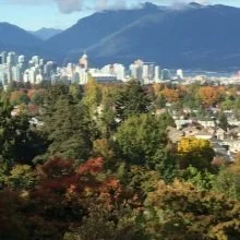 Call for papers - Urban forests, forest urbanisms &amp; global warming: developing greener, cooler and more resilient cities