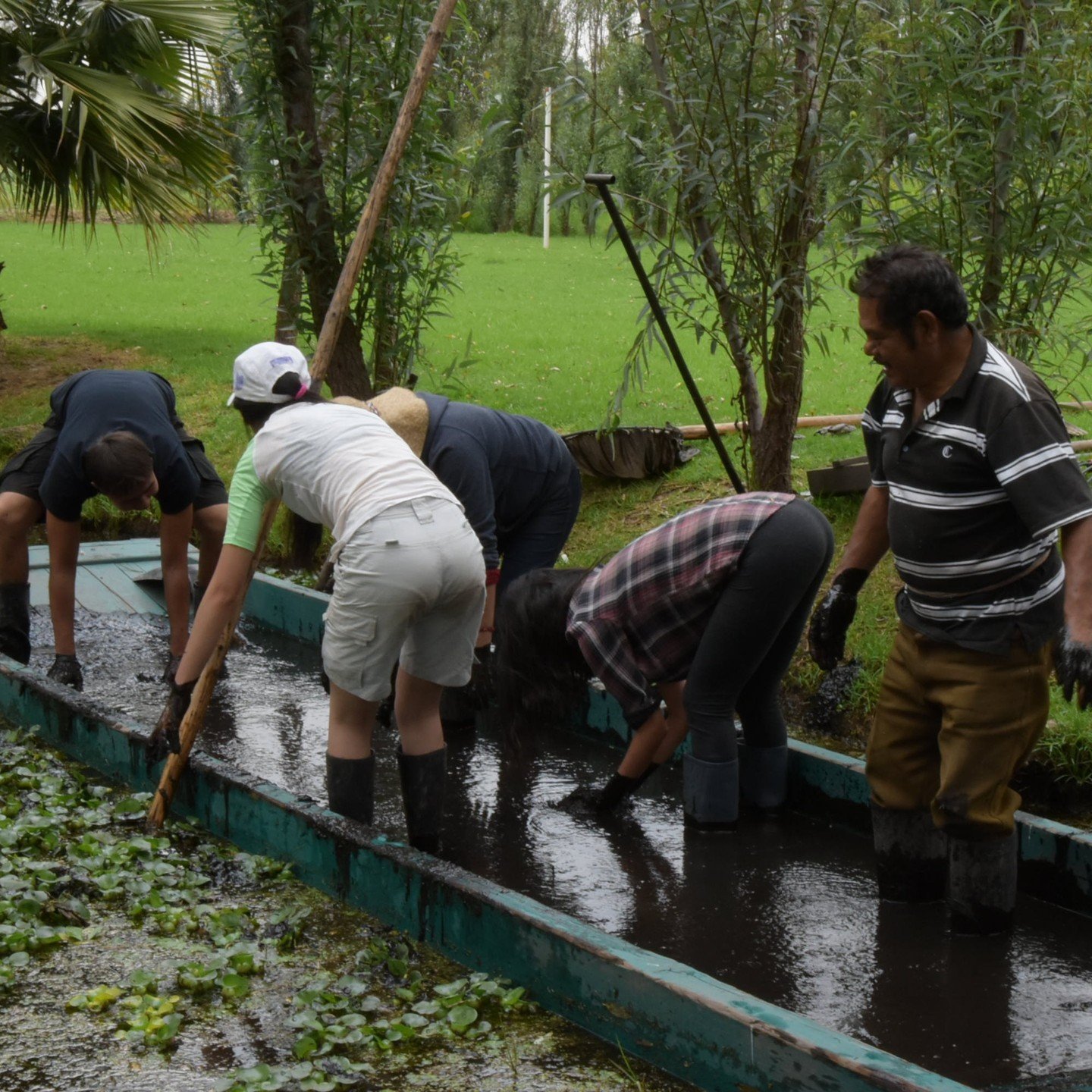 The Landscape Architecture program at the Universidad Nacional Aut&oacute;noma de M&eacute;xico ( @unam_mx ), founded in 1985, was designed with Mexico's unique ecological diversity and pressing social and environmental challenges in mind. It address