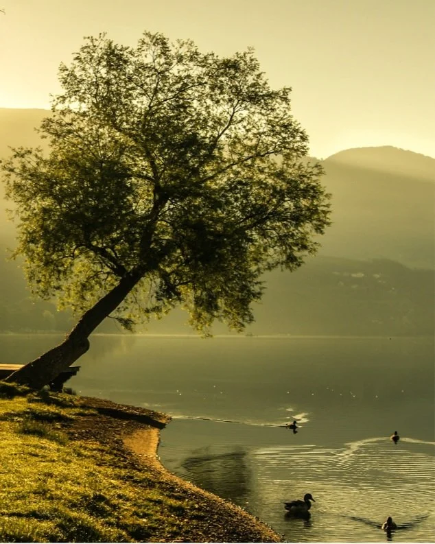 Landscape: A Common Cause