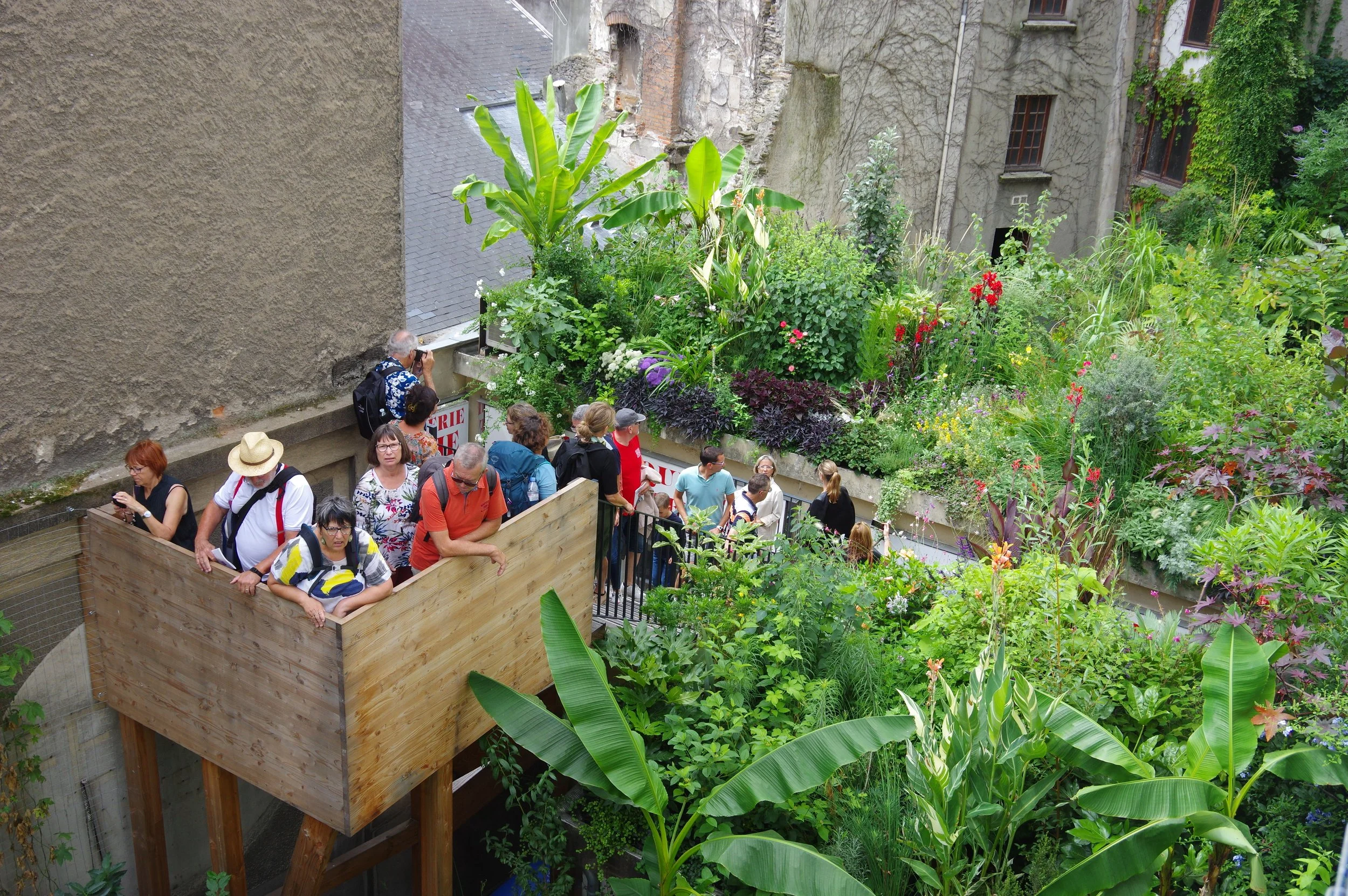 25Evor Jungle intérieure.Nantes.Ph JS.JPG