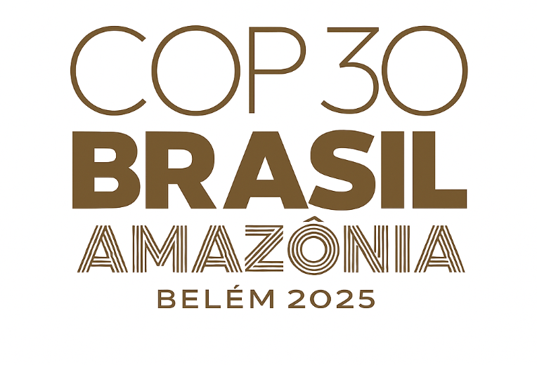 Our Call to Action: IFLA’s COP30 Brazil Position Statement