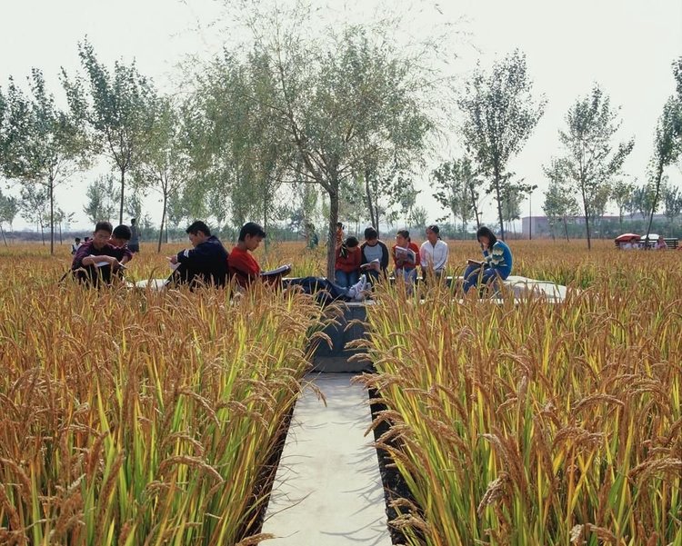 Turenscape Joins IFLA as Asia Pacific’s First Corporate Member ...