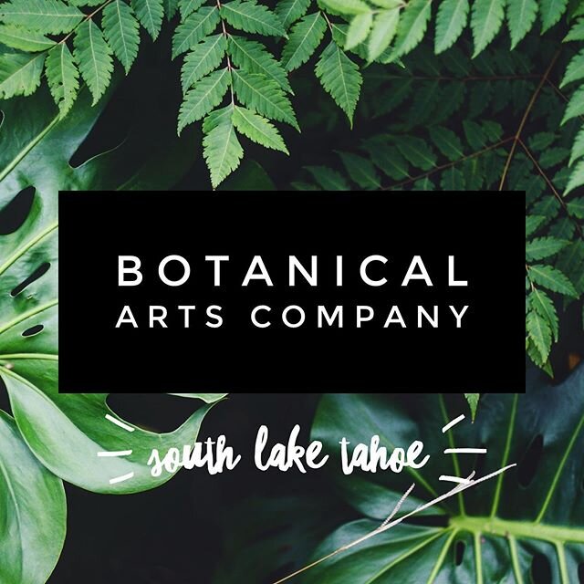 Attention plant lovers.... Earlier this month we teamed up with this awesome woman-owned business where you can find tons of unique and gorgeous plants. Stock up on plant-based skincare, live plants, and art supplies all in one adorable shop.