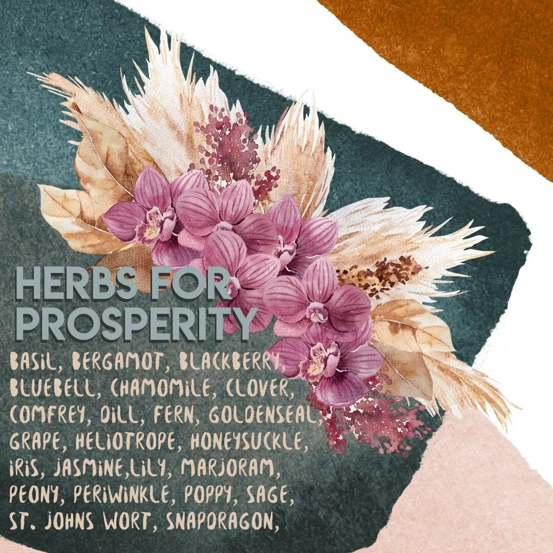🔮 💫  Herbs for prosperity 💫 🔮⁠
⁠
Borrowed from Complete Book of Correspondences by Sandra Kynes...⁠
⁠
Tag a friend who needs these!!