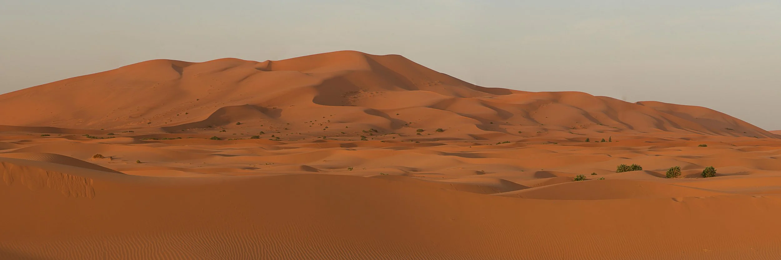 The Sahara Desert