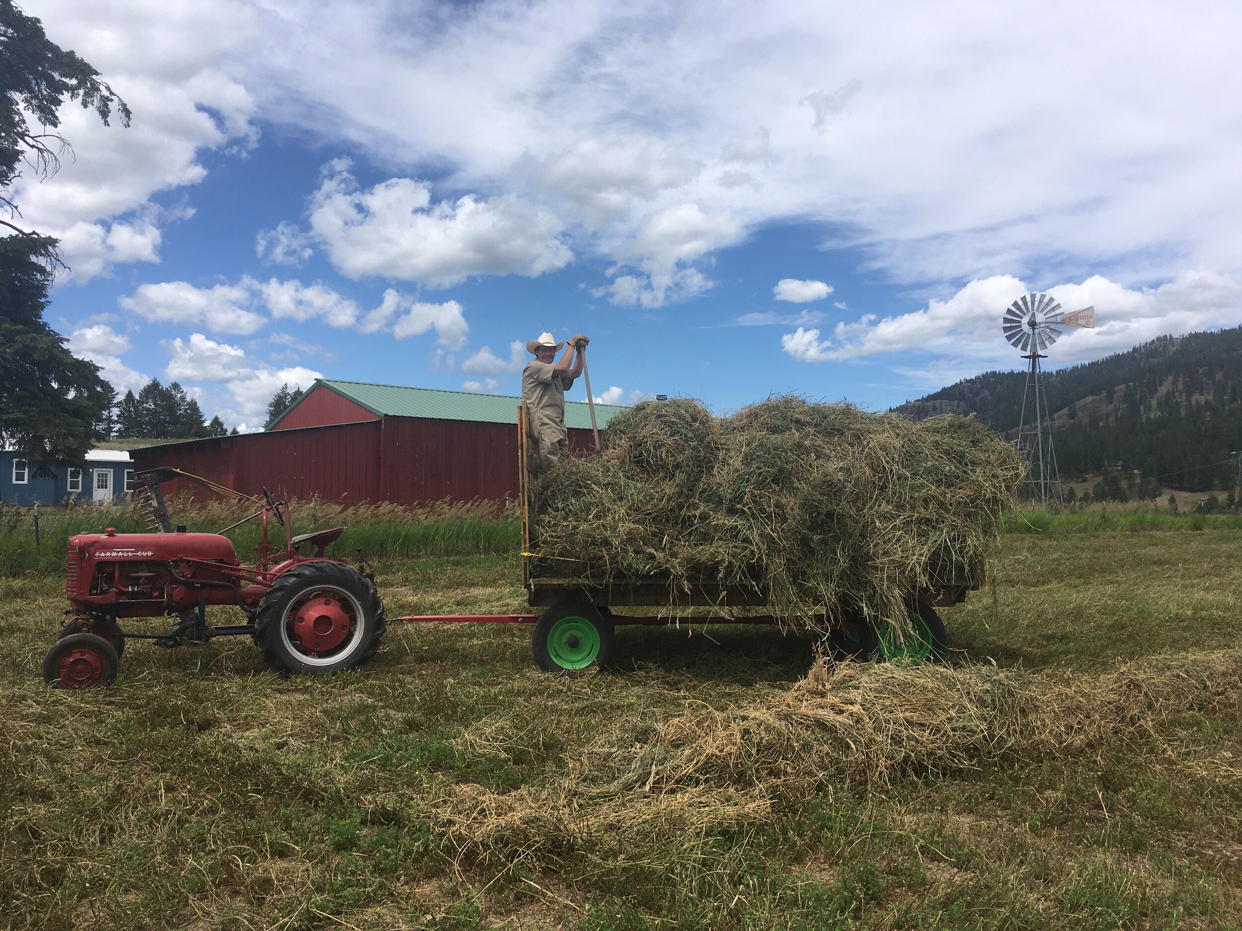 Putting up loose hay is a big job each summer