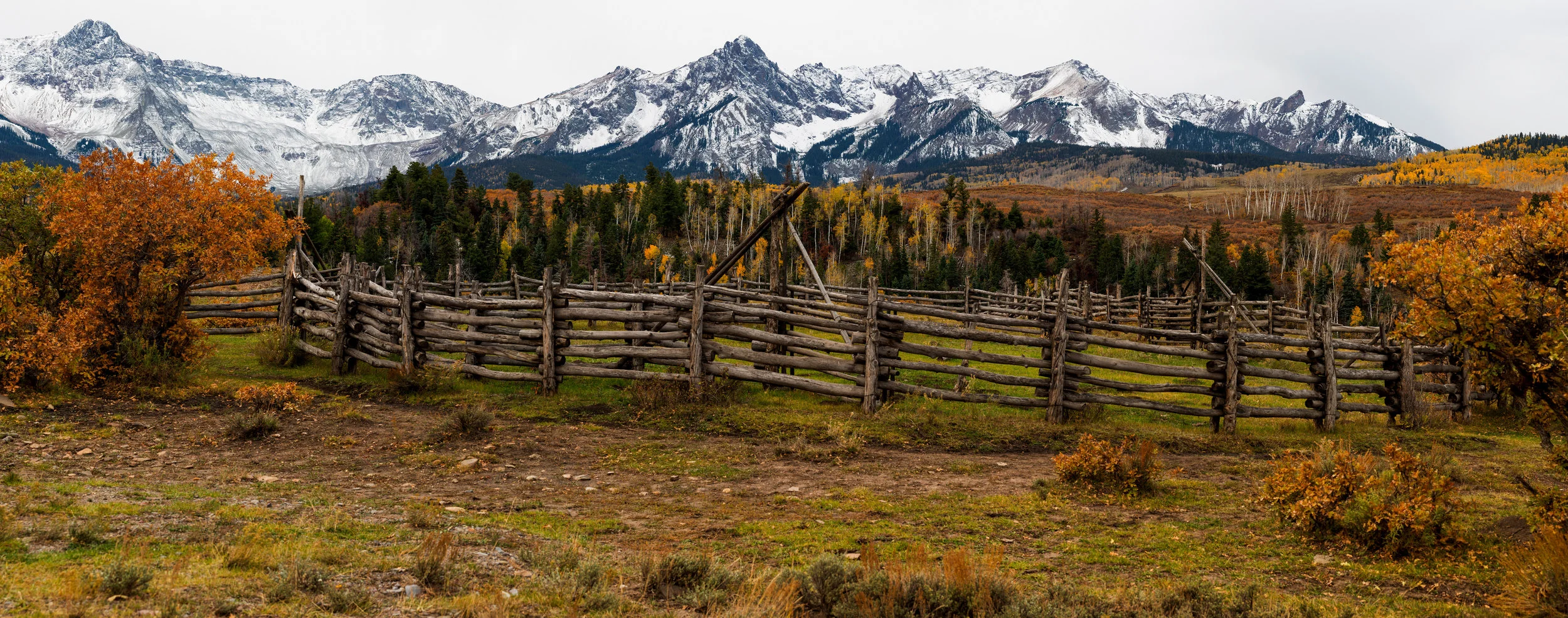 Rustic fence and aspen grove are plenty on the country roads all around Ridgway.