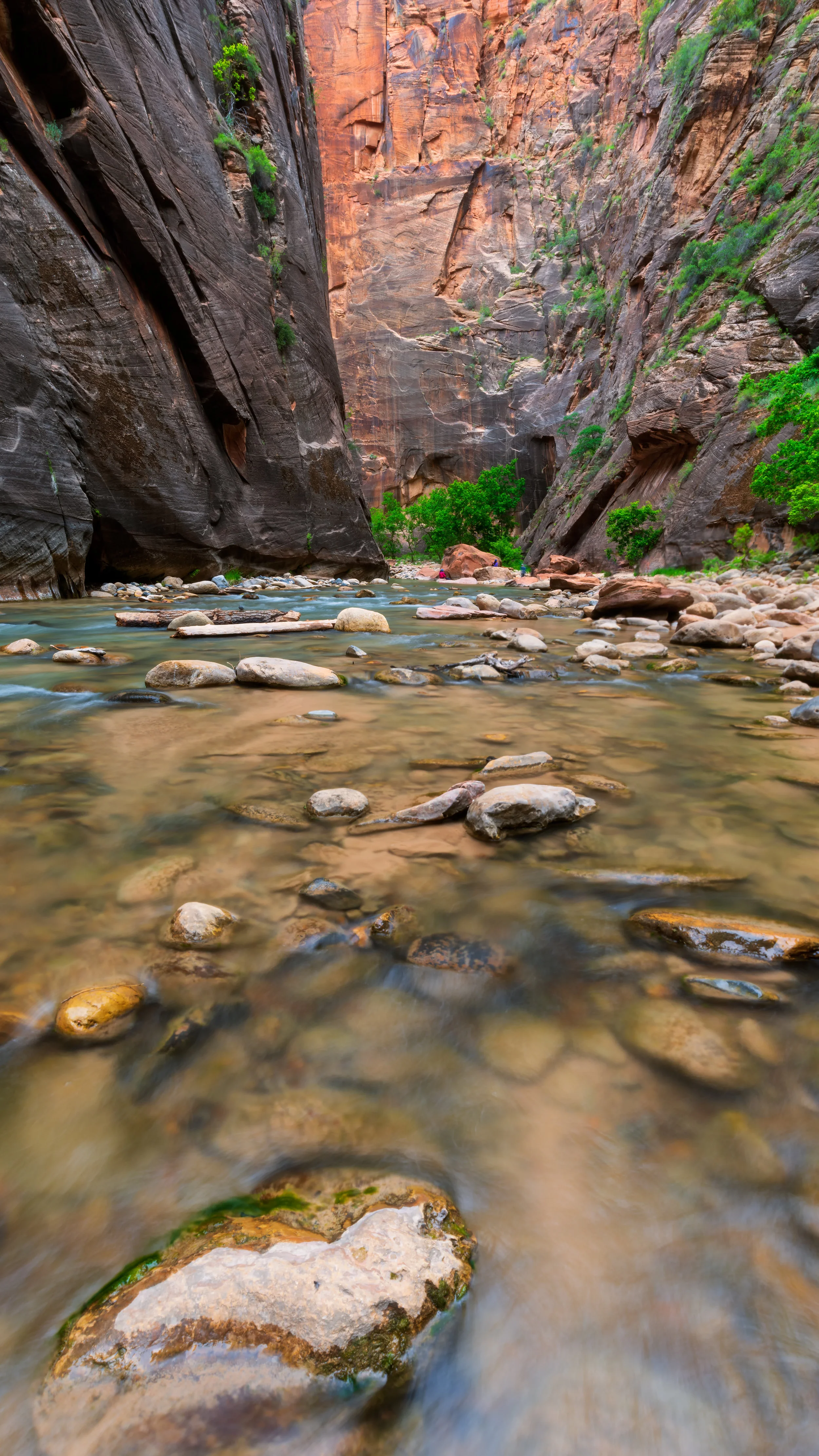 Narrows