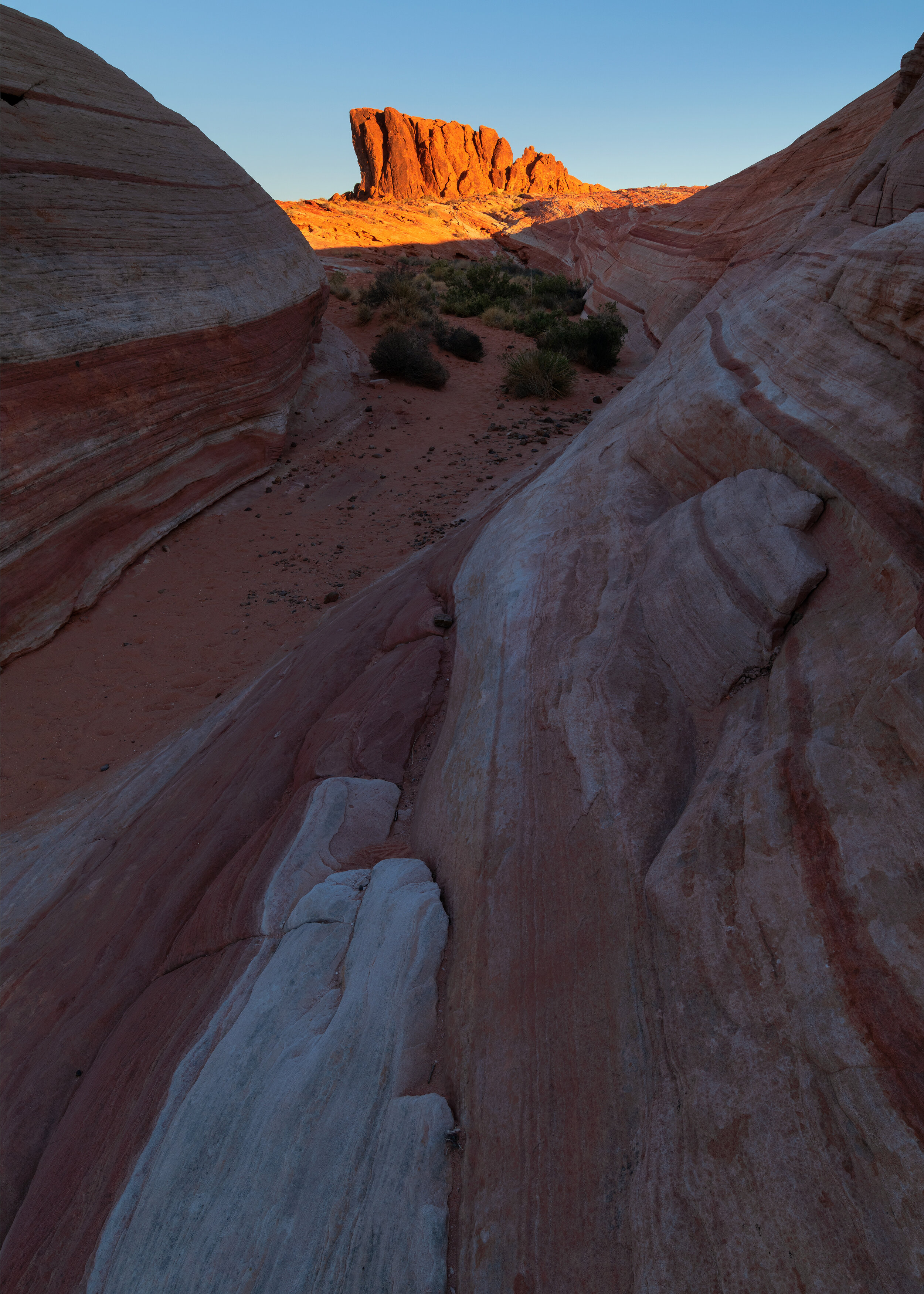 Fin formation at Valley of Fire SP