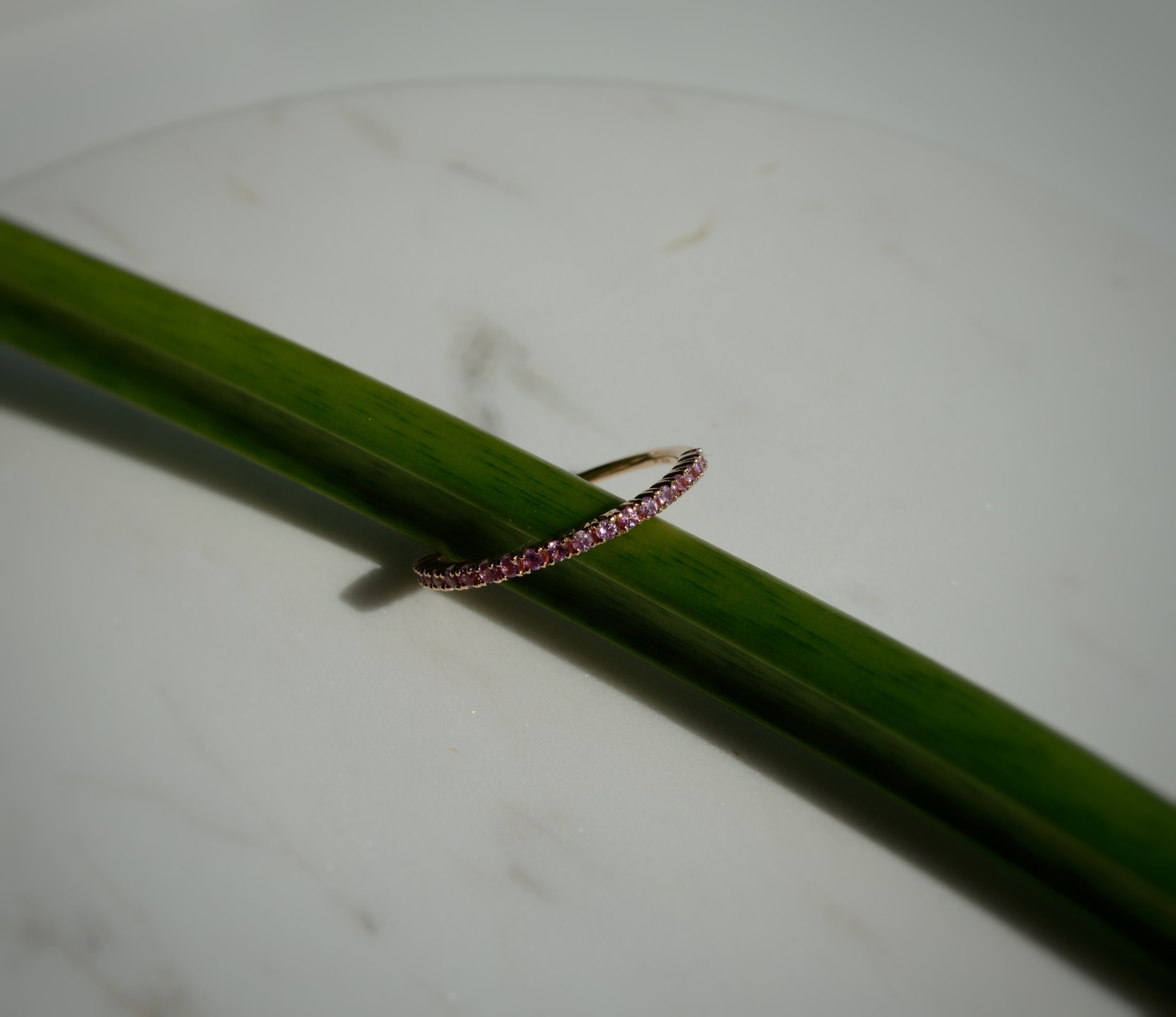 _DSC4571.jpeg