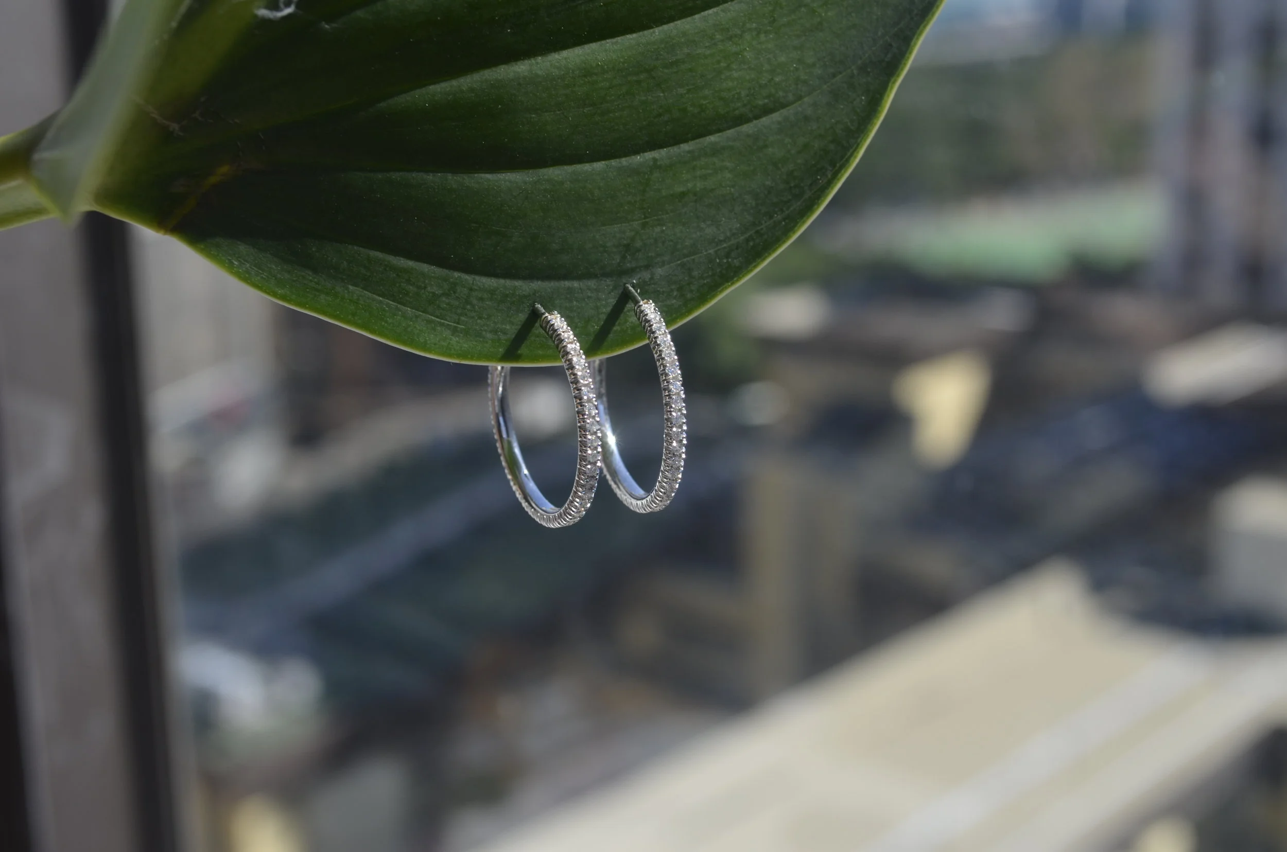 White gold diamond earrings