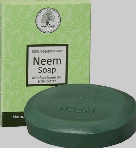 Neem Soap.JPG
