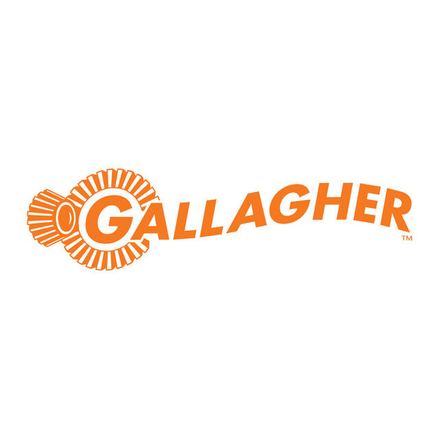 GallagherSquare.jpg