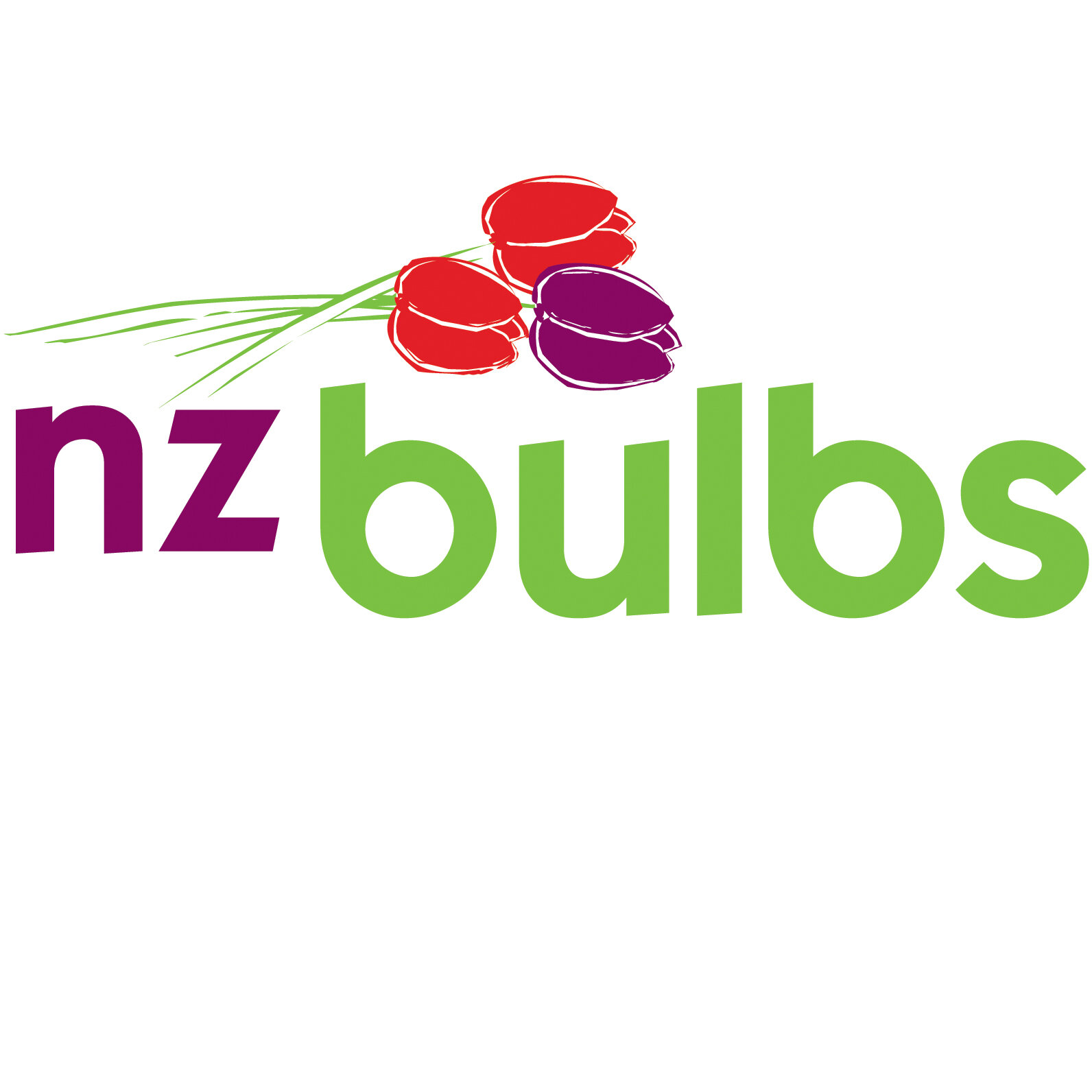 NZ Bulbs.jpg