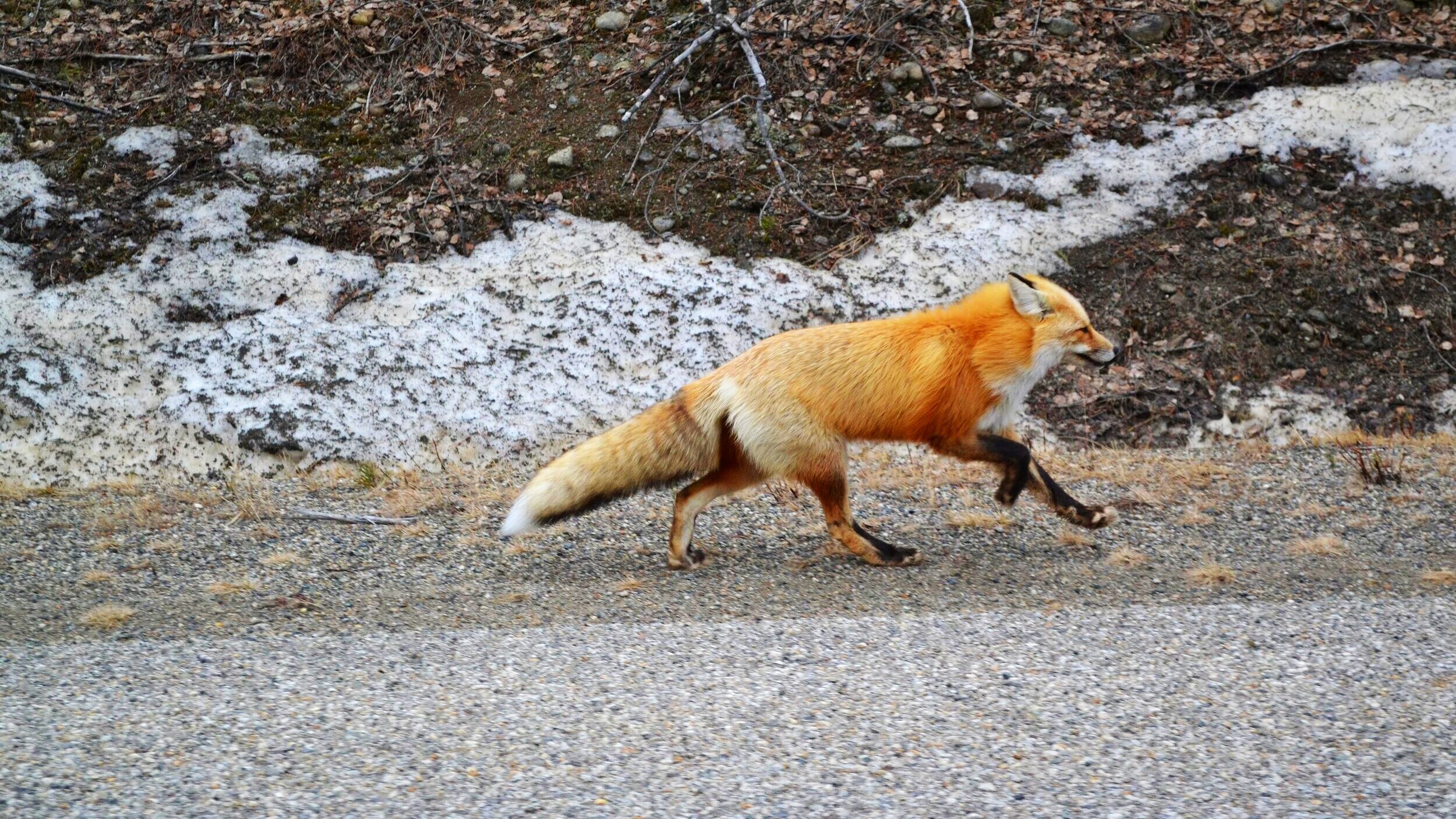 DSC_4962.jpg