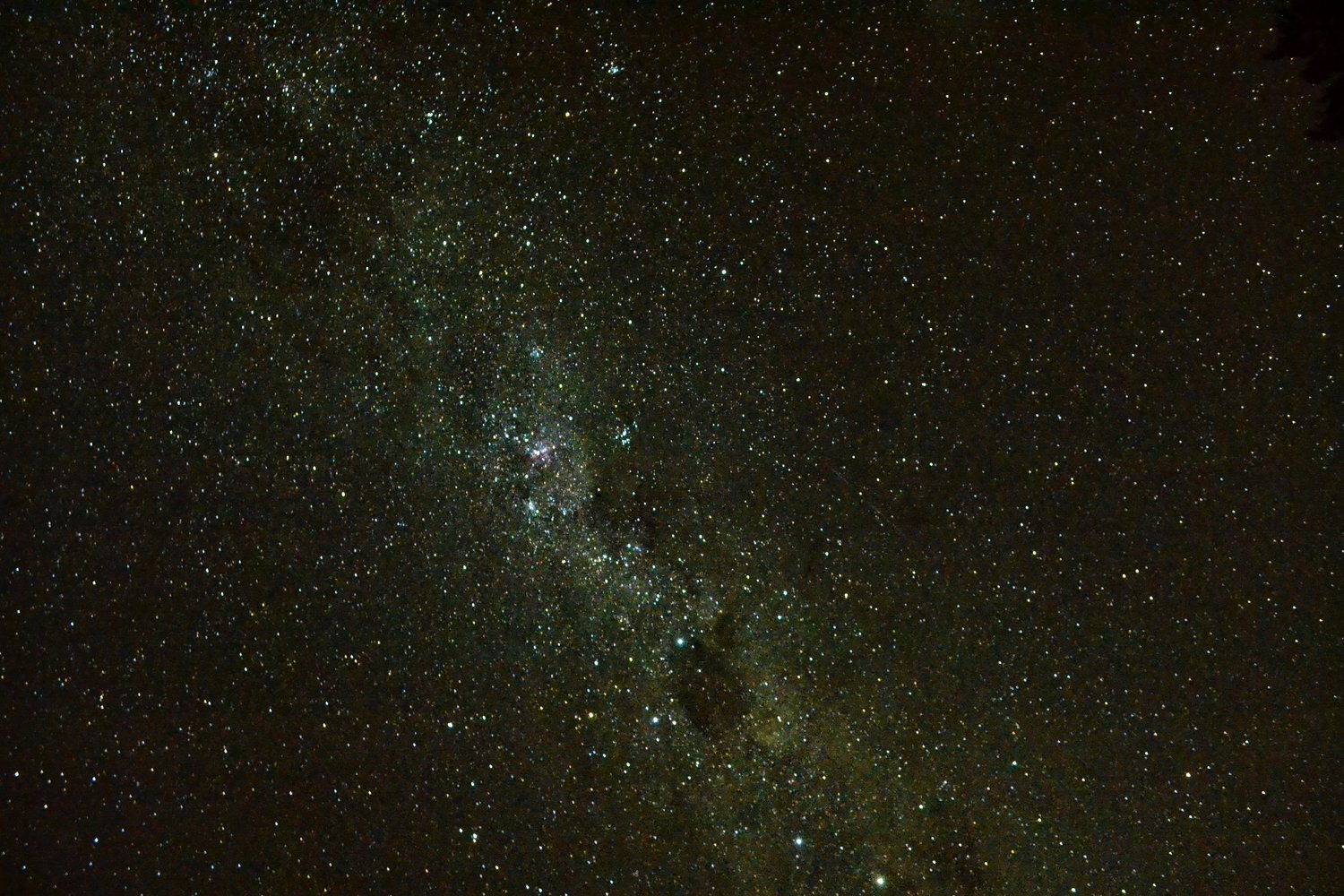DSC_1771.jpg