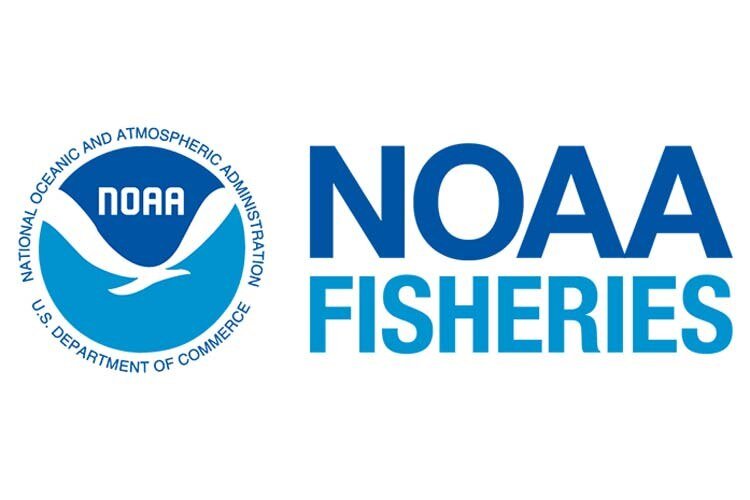 NOAA Fisheries.jpeg