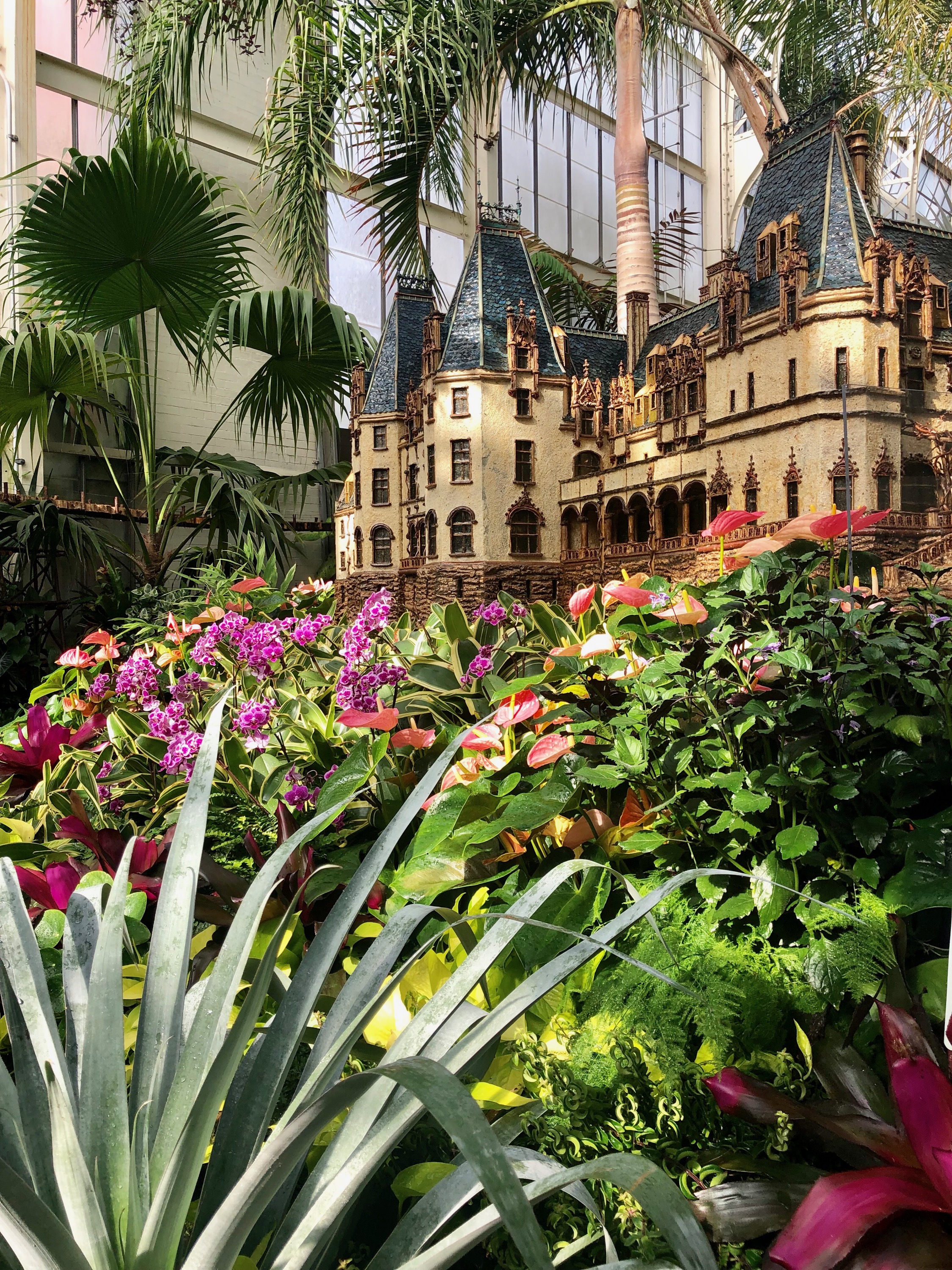 Inside the Conservatory