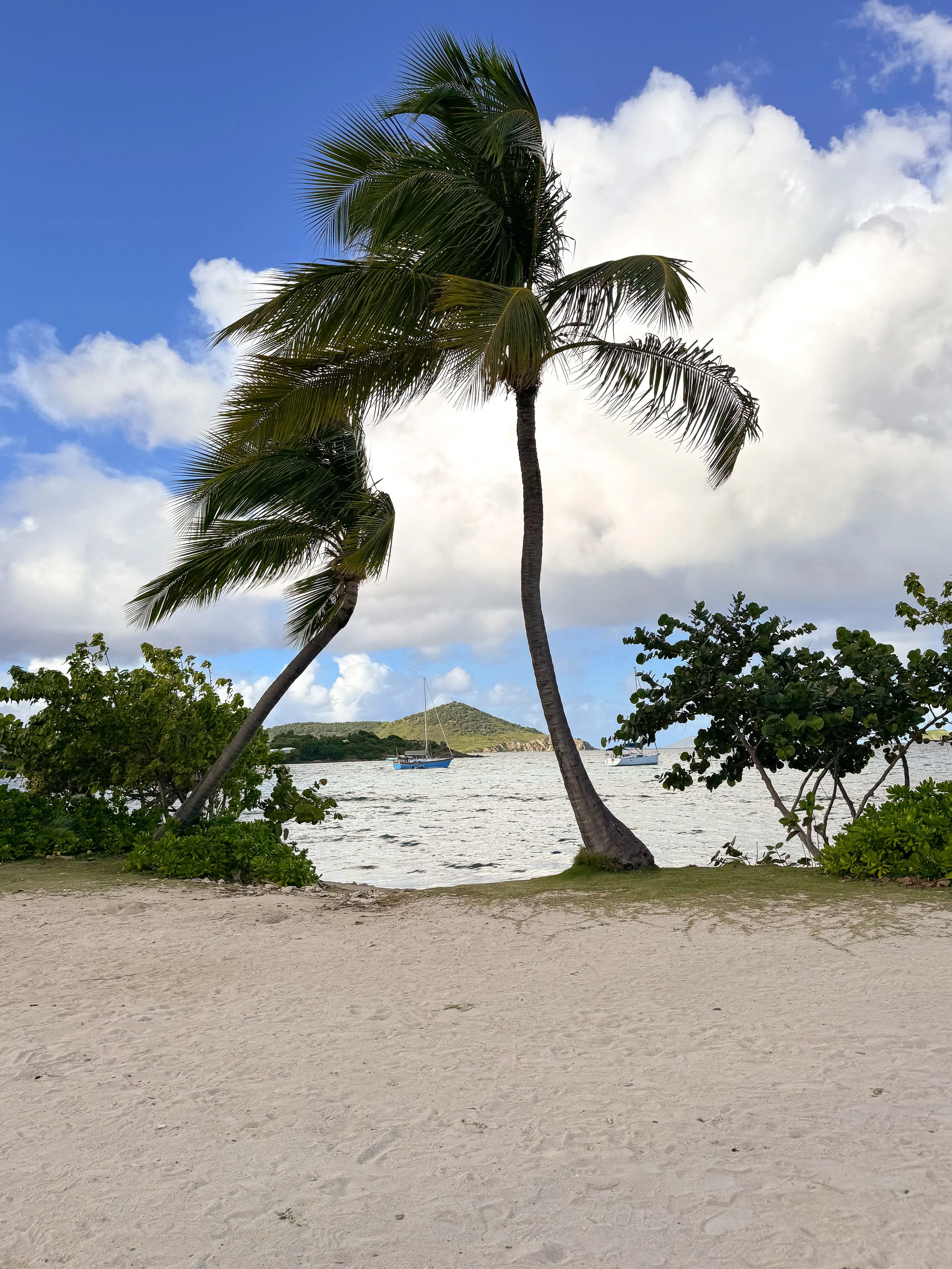 Our St. Thomas Babymoon