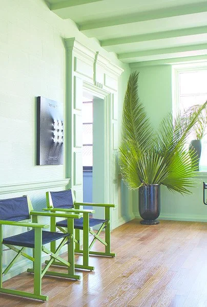 Paint Colour Inspiration [That Isn't Beige, White or Grey!]