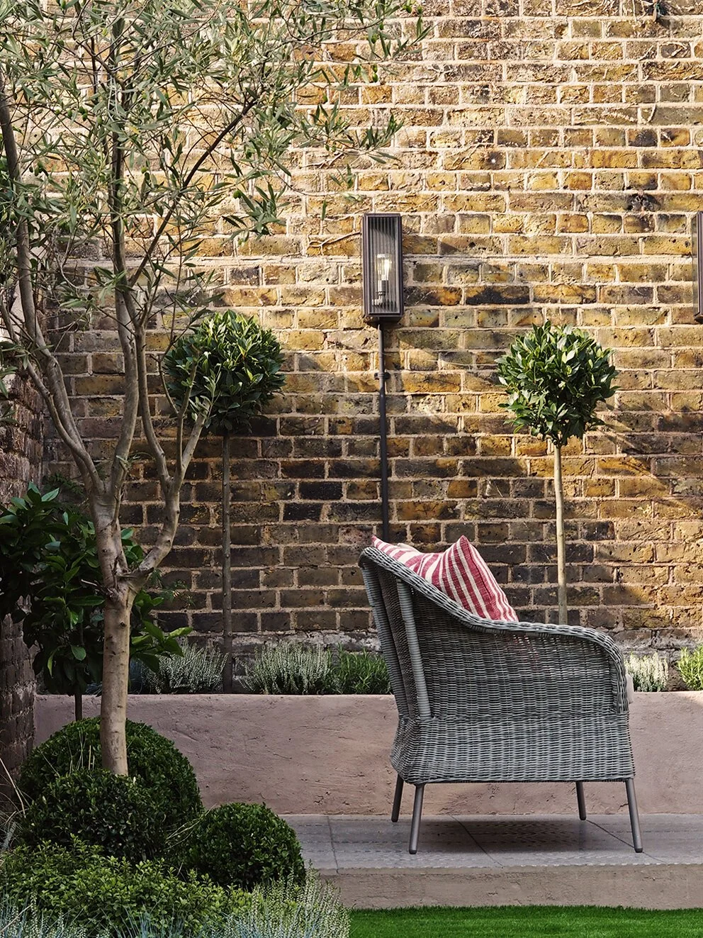 Plants For An Evergreen, Modern Mediterranean Garden