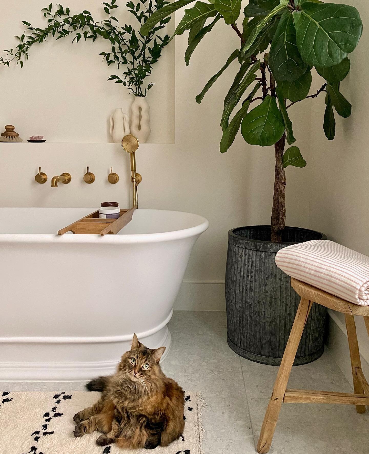 Mirror mirror on the wall, who&rsquo;s the prettiest kitty-cat of them all? 💕🐱 #bathroominspo #bathroomdesign #catsofinstagram #freestandingbath #archniche #laidbackluxury #modernglamour #fiddleleaffig [Tap for tags!]
