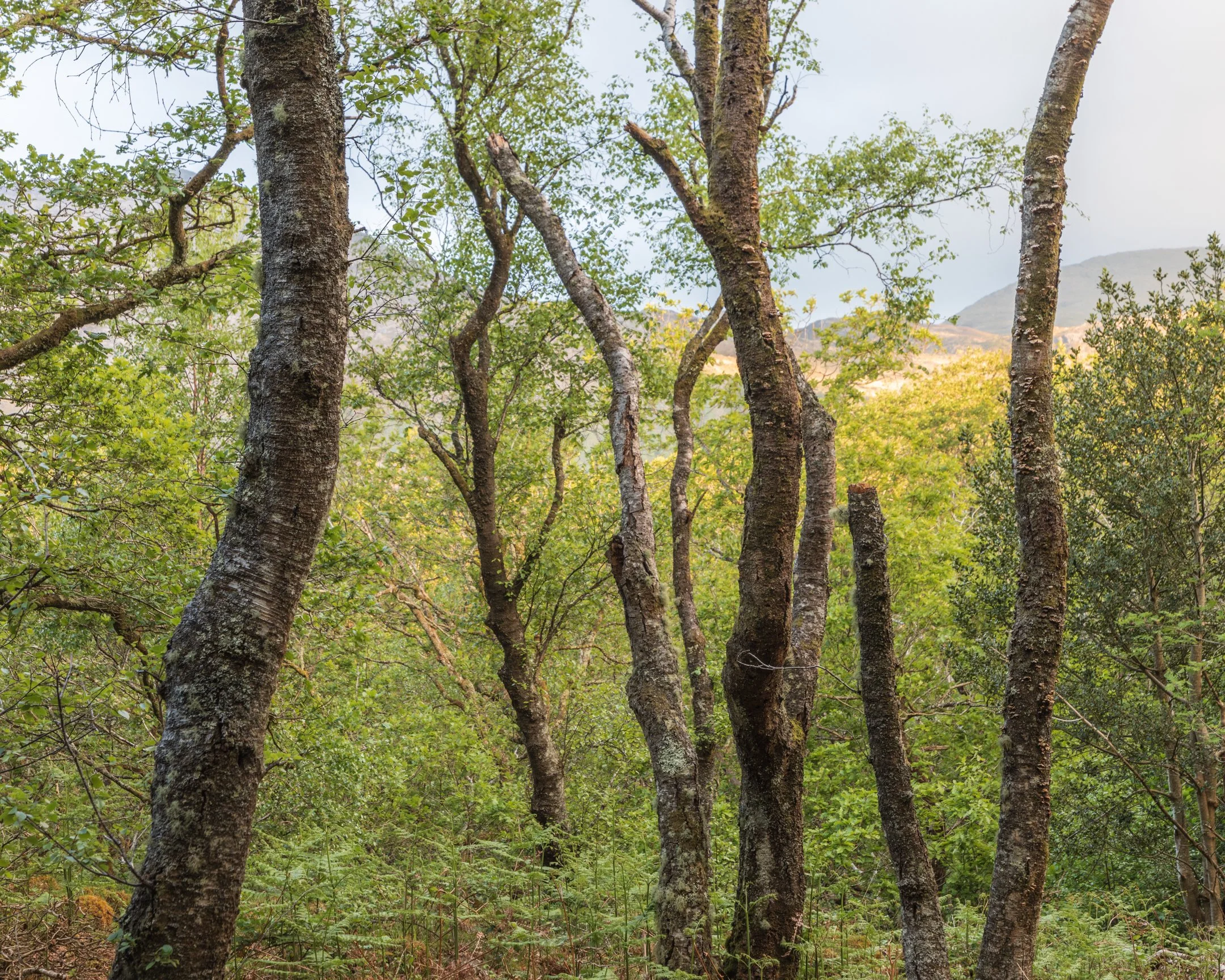 _J3A9633-HDR.jpg