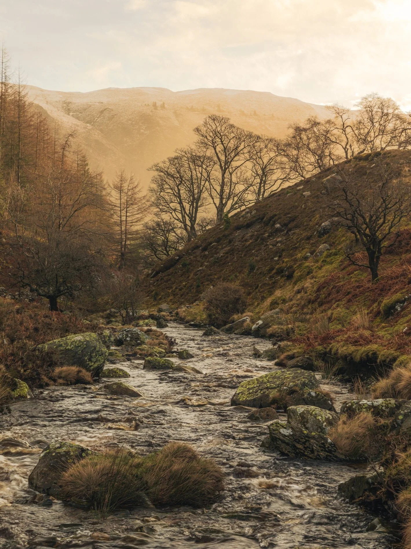 River Leading to Lake Vyrnwy