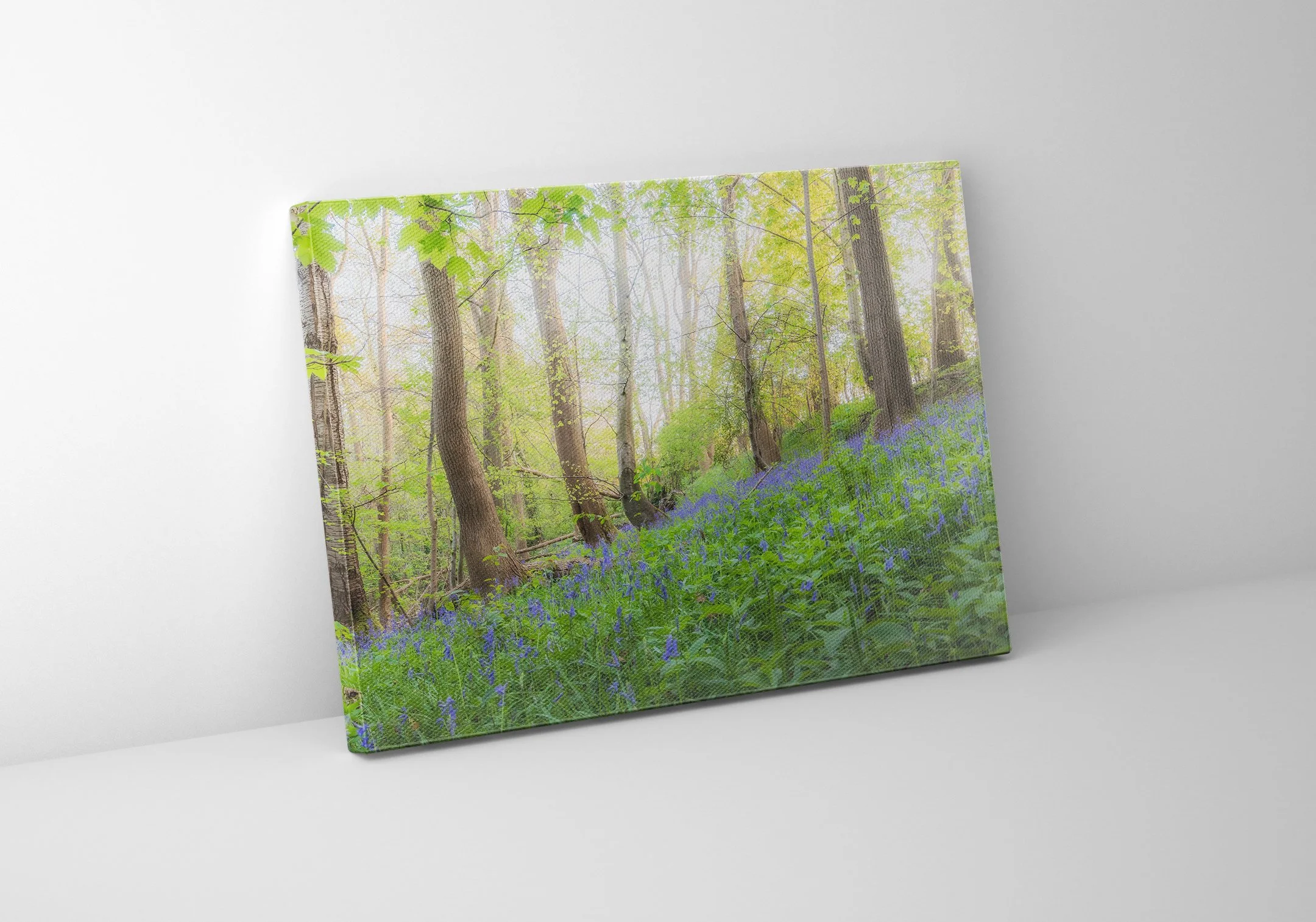 Mid Wales Bluebell Canvas Mockup.jpg