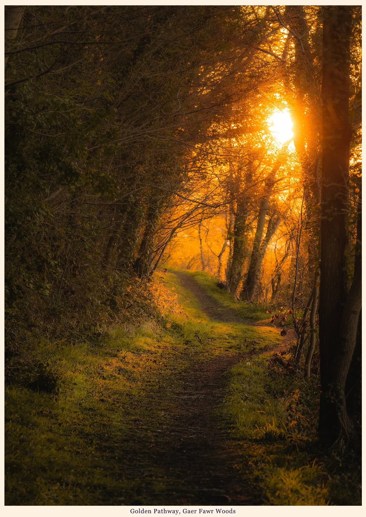 Golden Pathway Gaer Fawr Card.jpg