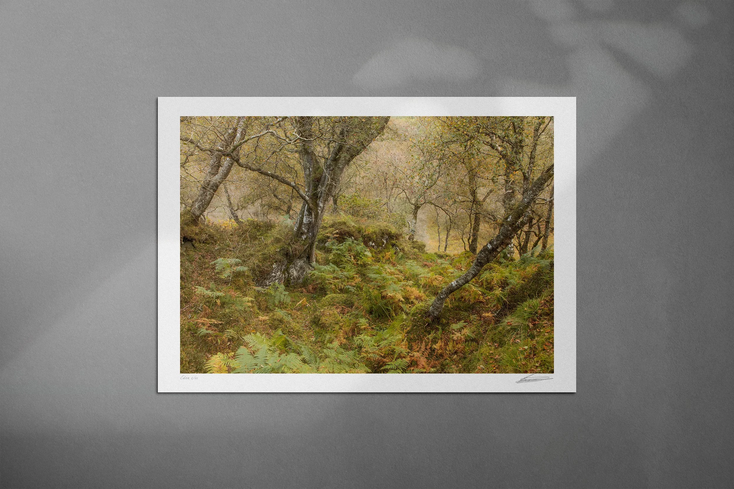 Eden by Brad Carr Print Mockup.jpg