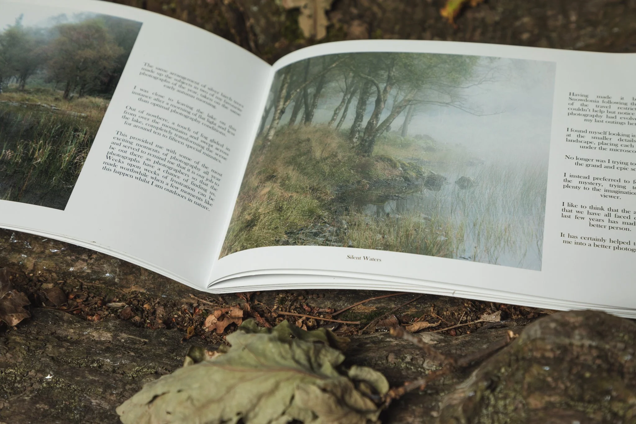 A Year Amongst Trees Zine by Brad Carr