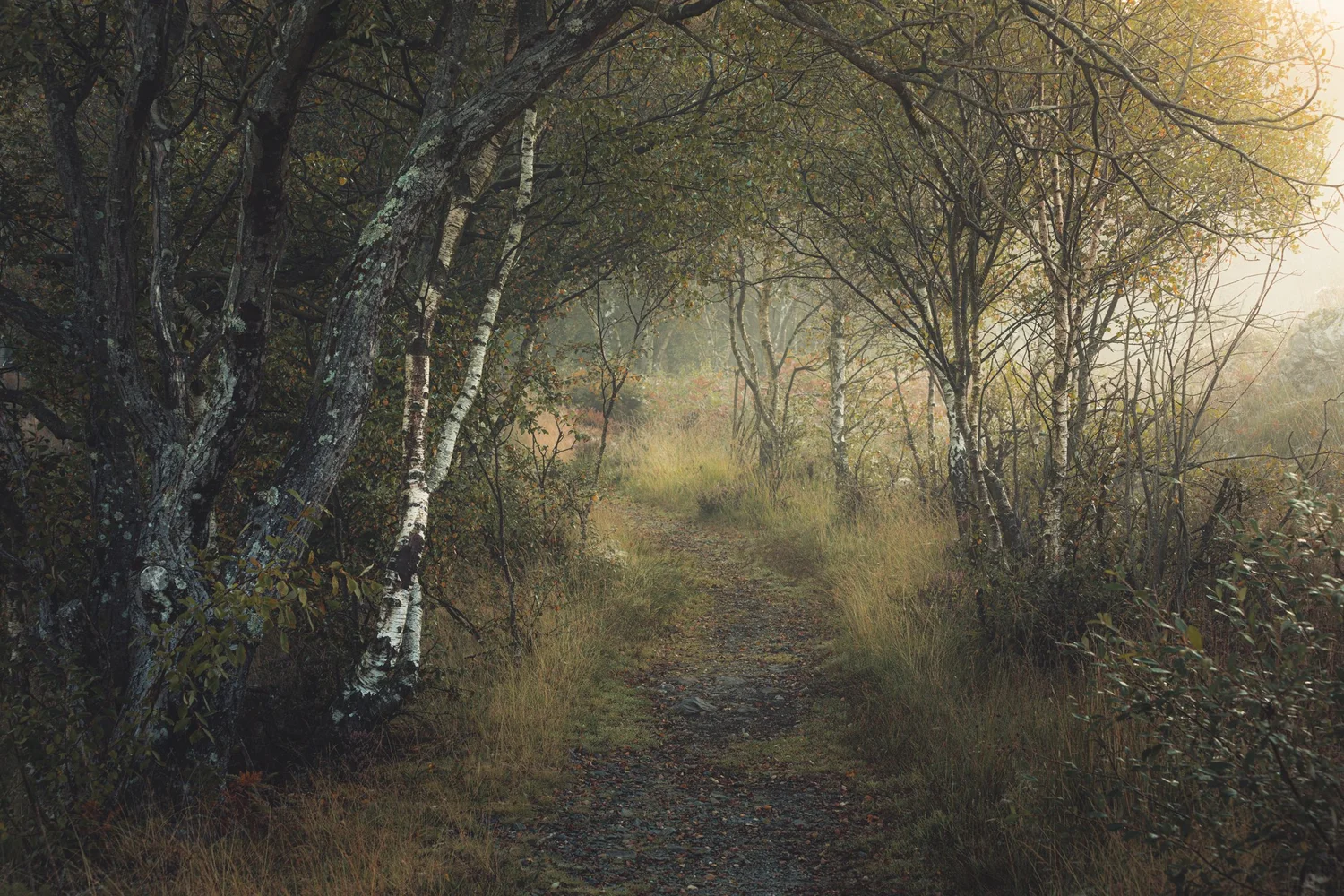 5 Beginner Composition Rules for Better Landscape Photography — Mindful ...