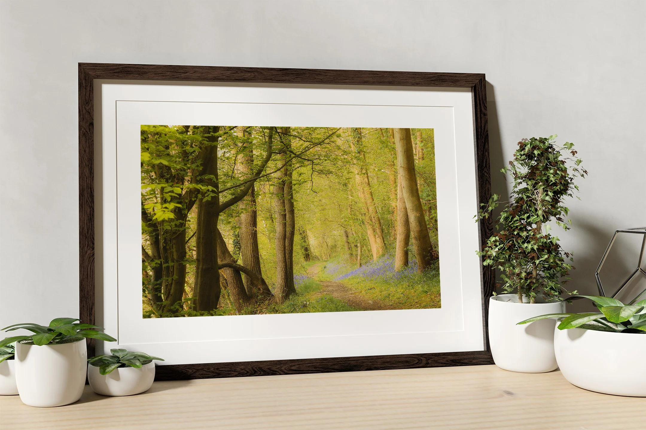 Gaer Fawr Bluebell Enchanted Woodland Print Mockup.jpg