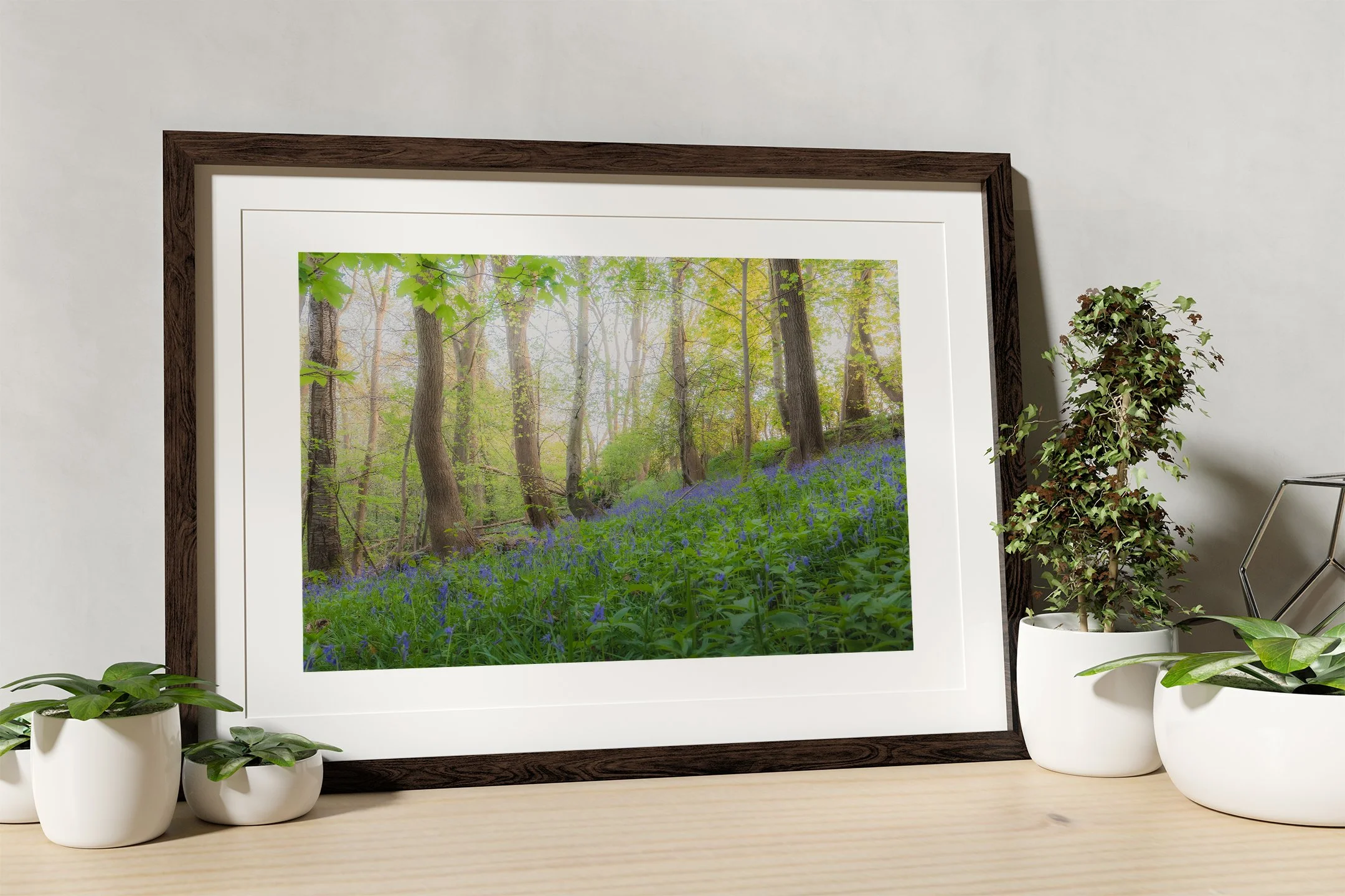 Welshpool Bluebells Print Mockup.jpg