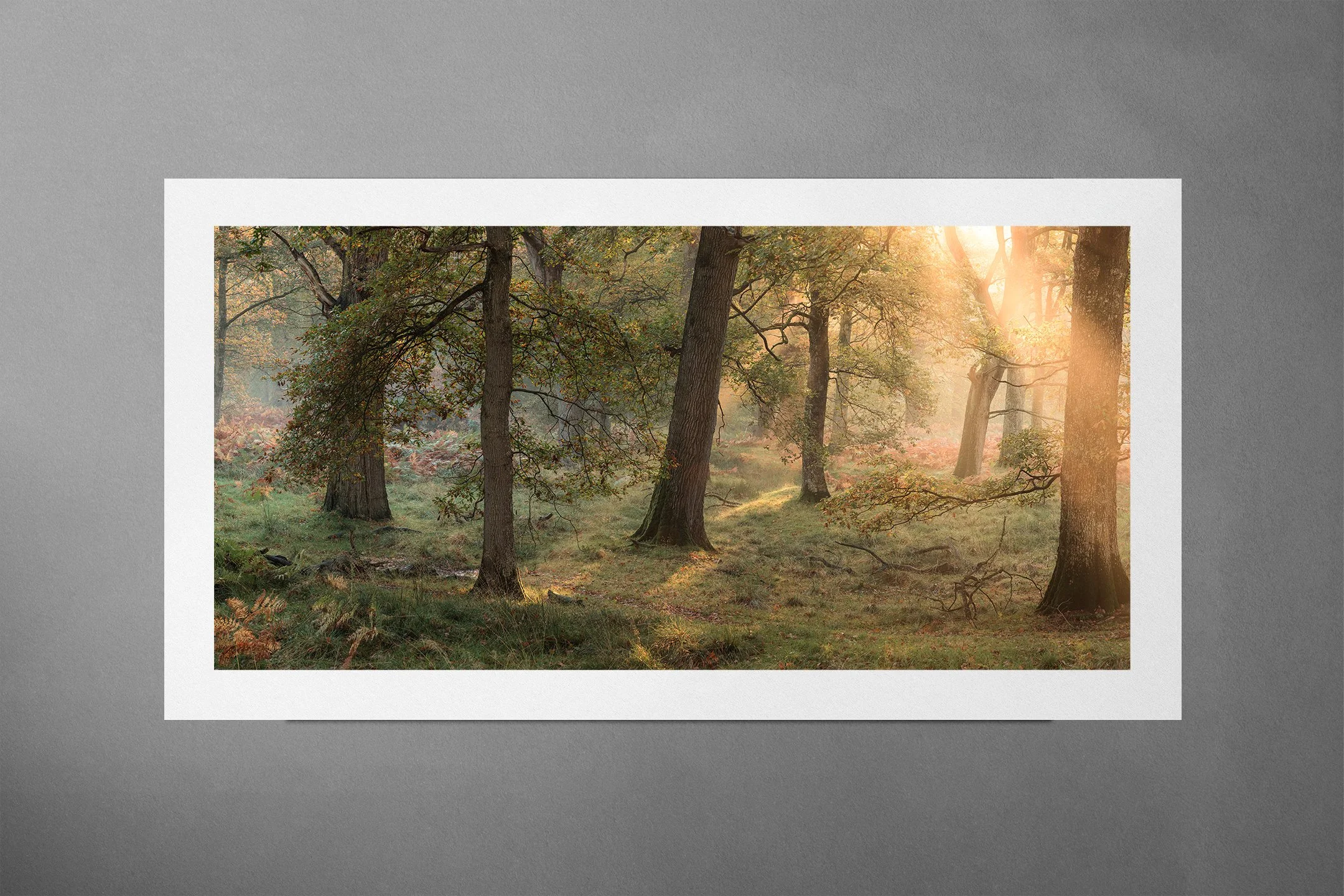 Awakening the Great Oaks Print Mockup.jpg
