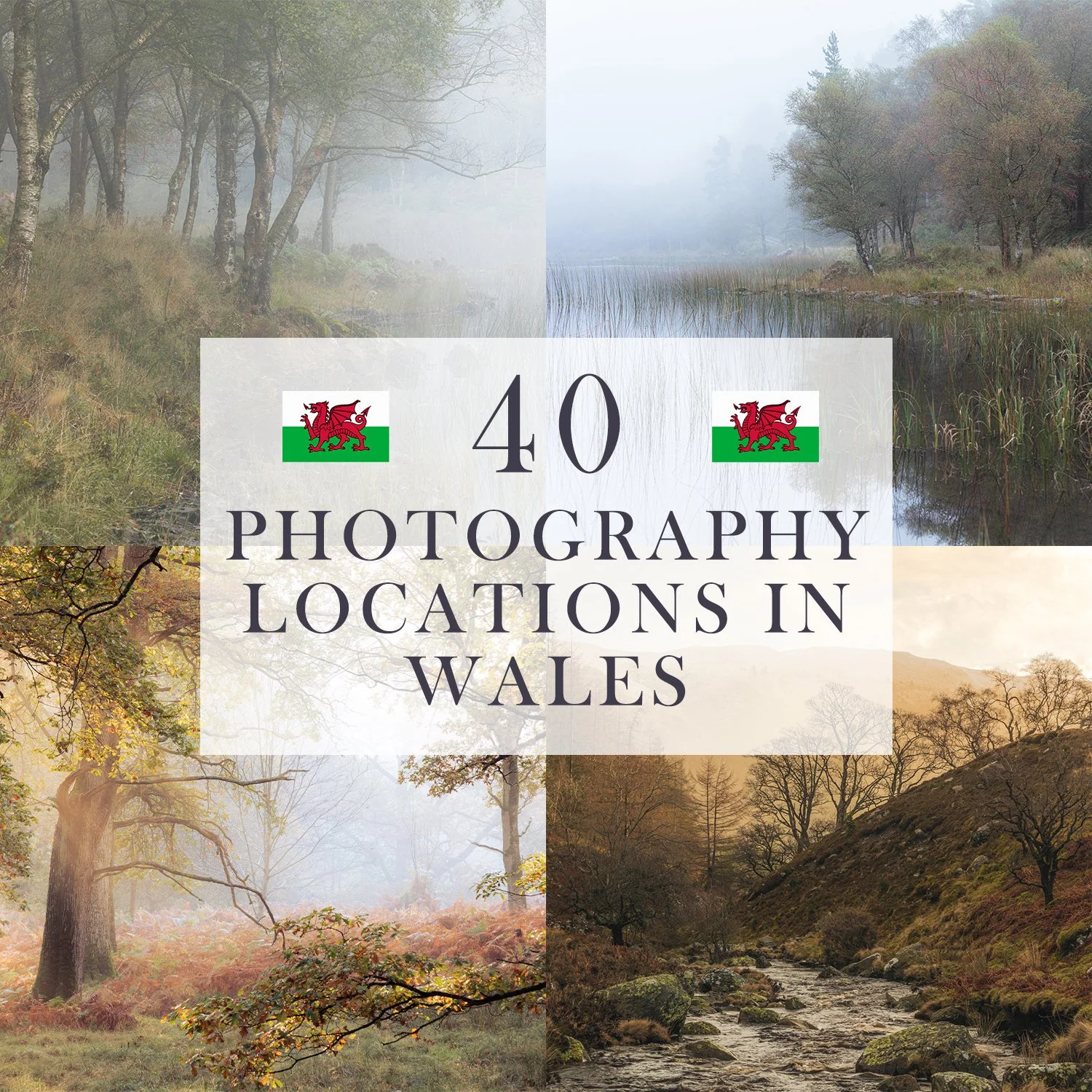 Photography Locations in Wales.jpg