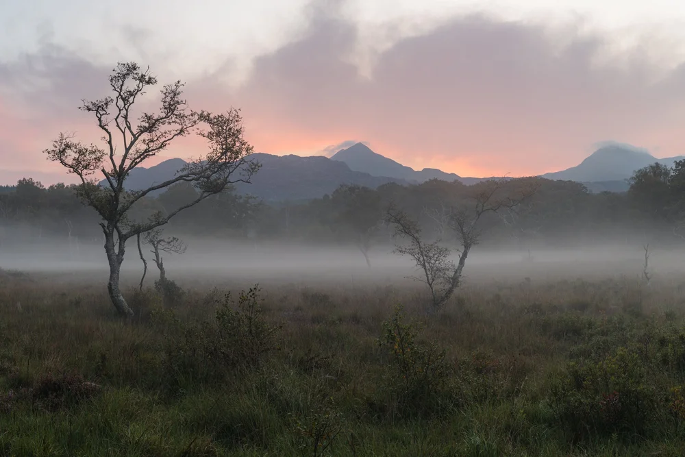 5 Beginner Composition Rules for Better Landscape Photography — Mindful ...