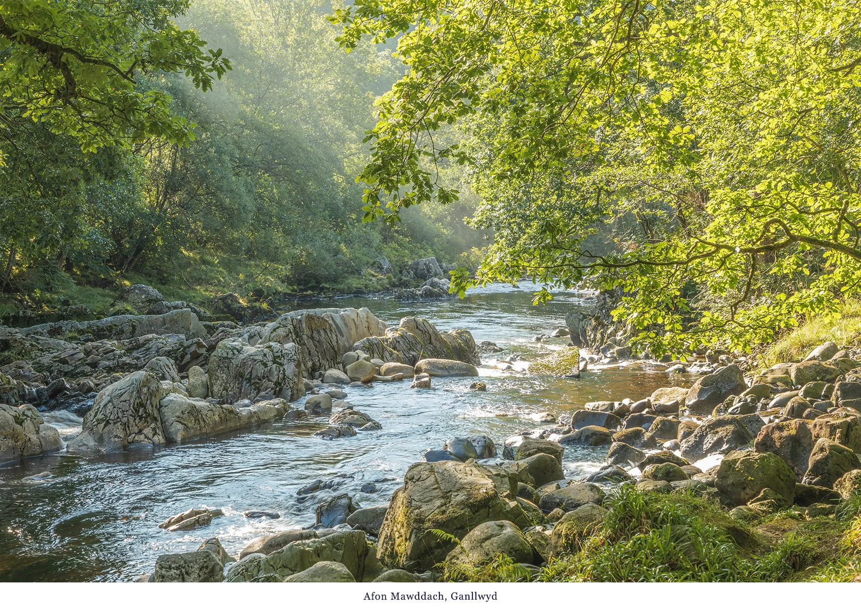 Afon Mawddach Greetings Card.jpg