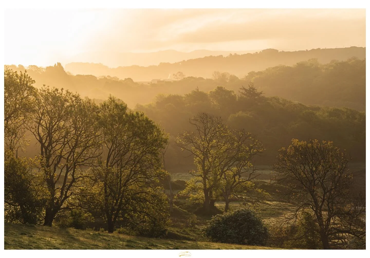 A moment of majesty on Anglesey this morning 🏴󠁧󠁢󠁷󠁬󠁳󠁿

I love this country. I really do. It has been a pleasure to introduce a new group of tourists to some of my favourite locations. This is one that is new to me. Even after seven years, I sti