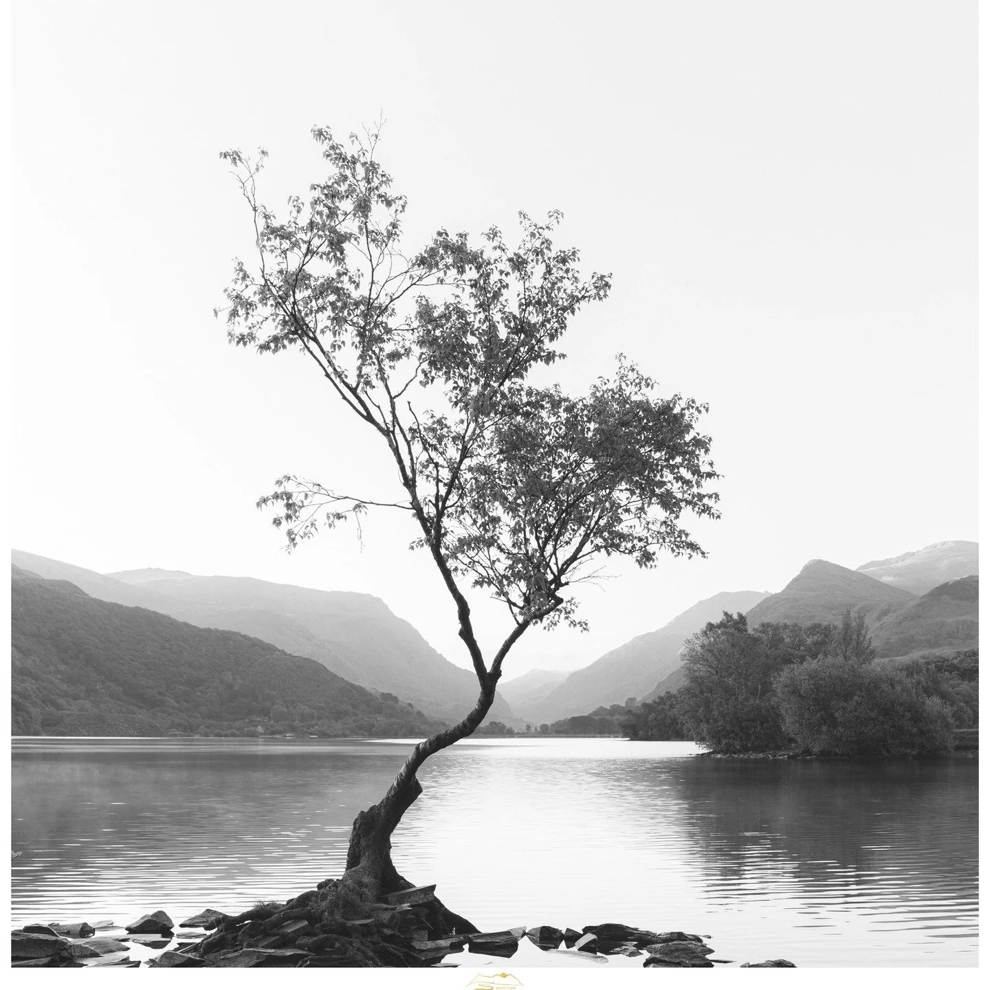 A photograph from yesterday morning spent with some wonderful people at Snowdonia&rsquo;s infamous Lone Tree. It is a beautiful spot and a very popular one for good reason.

We followed this sunrise shoot with an action-packed final-day tour of Snowd