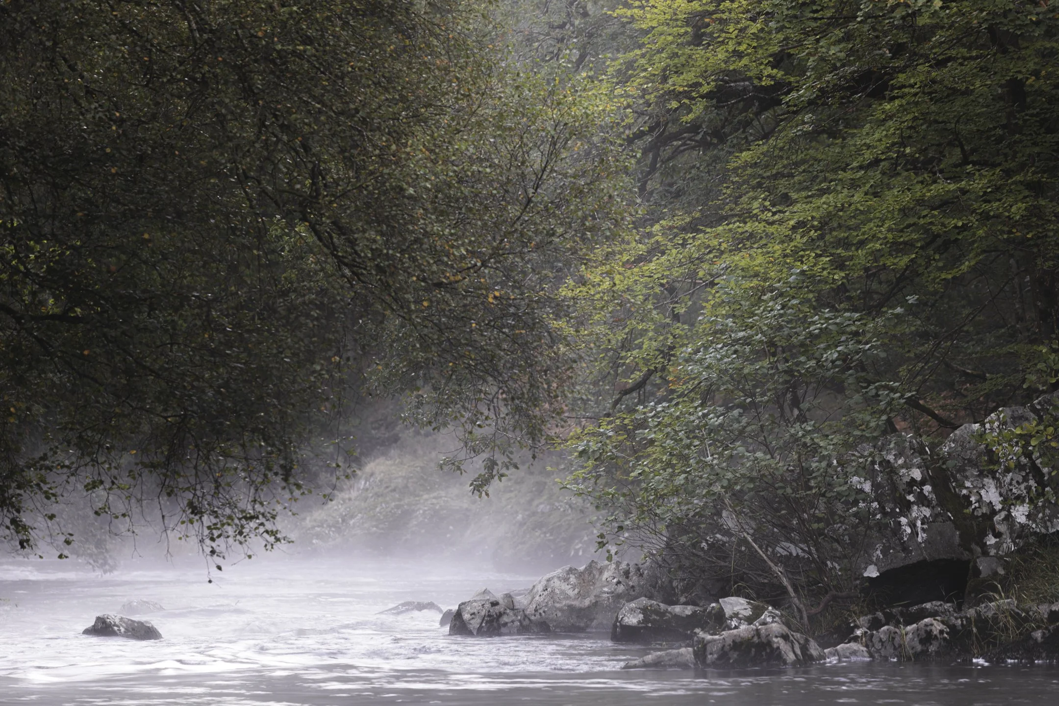 Finding a Place in the Great Tapestry of Life