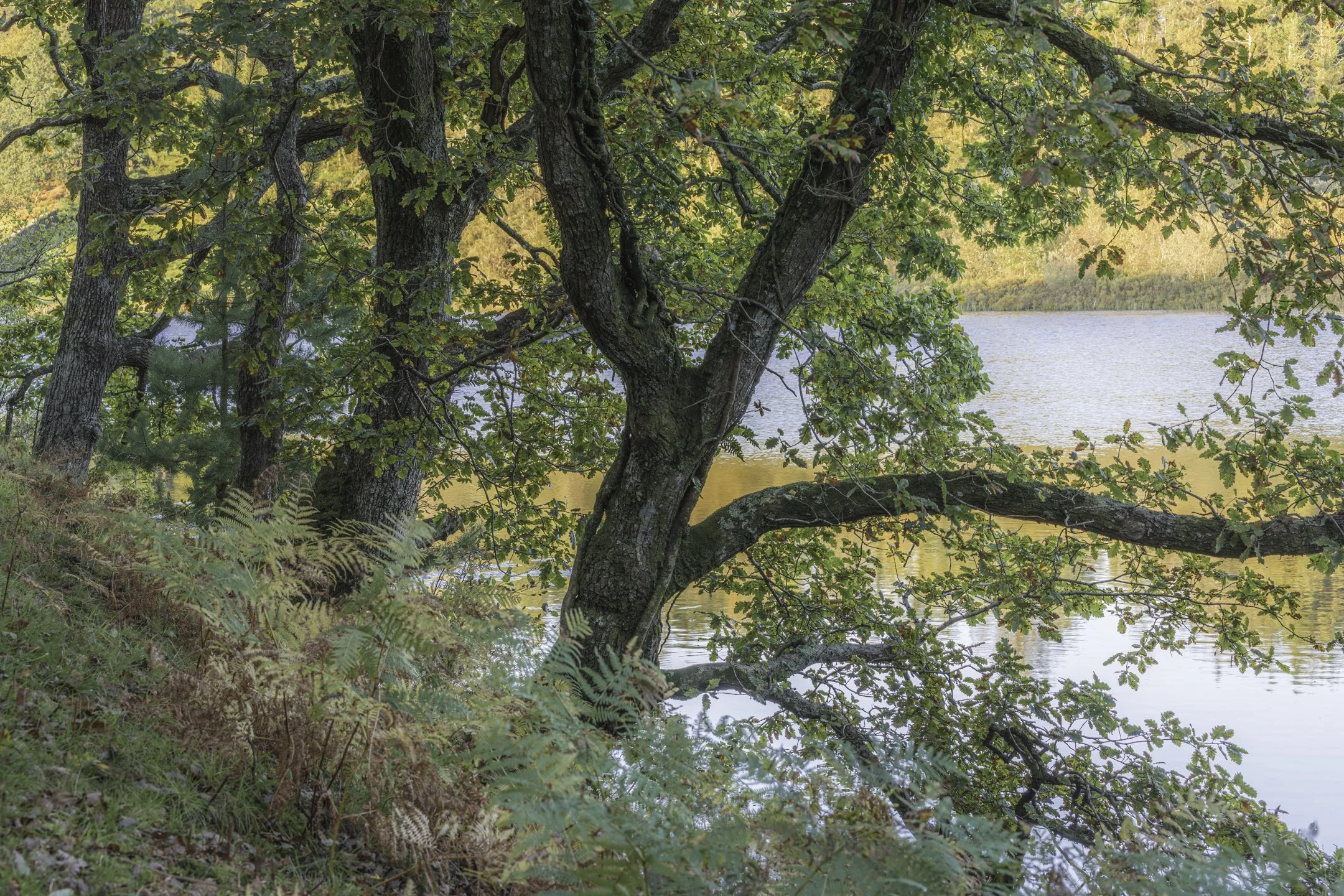 _J3A9168-HDR.jpg