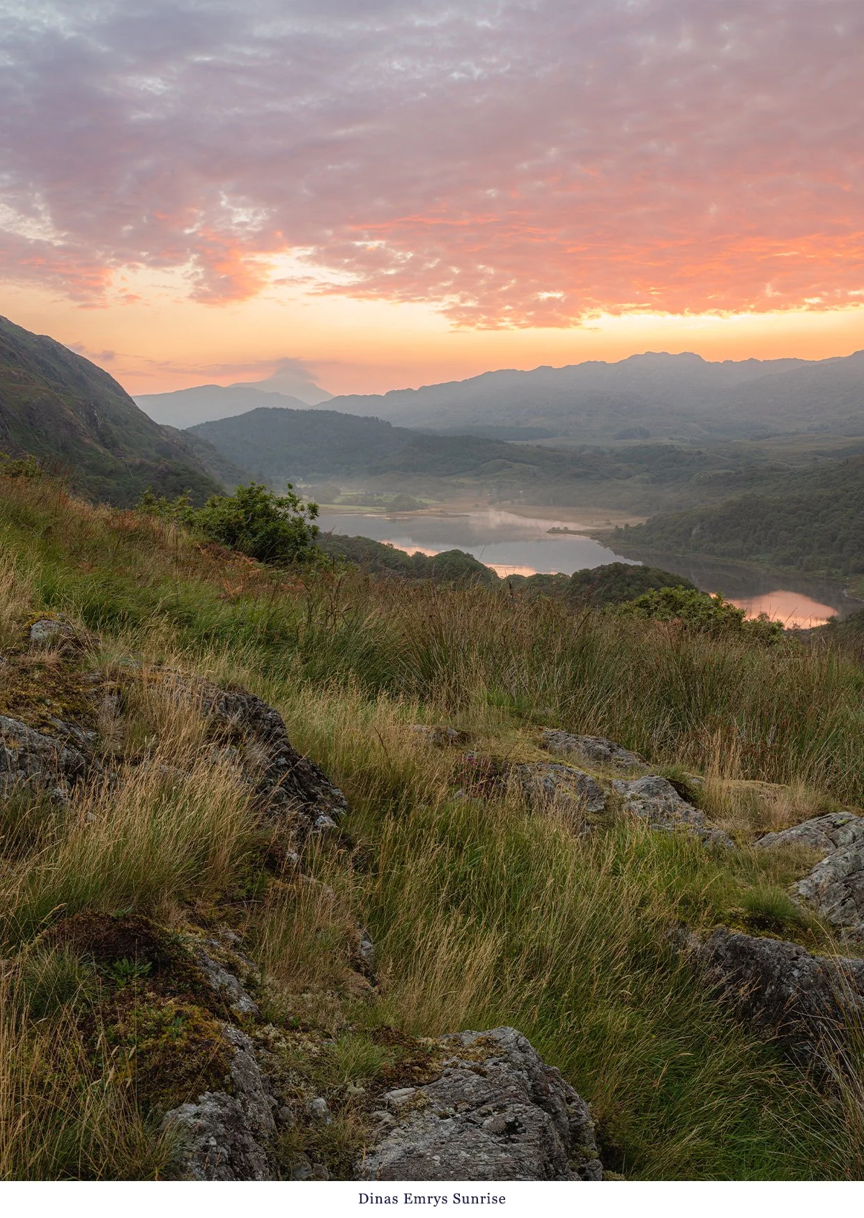 Dinas Emrys Sunrise.jpg