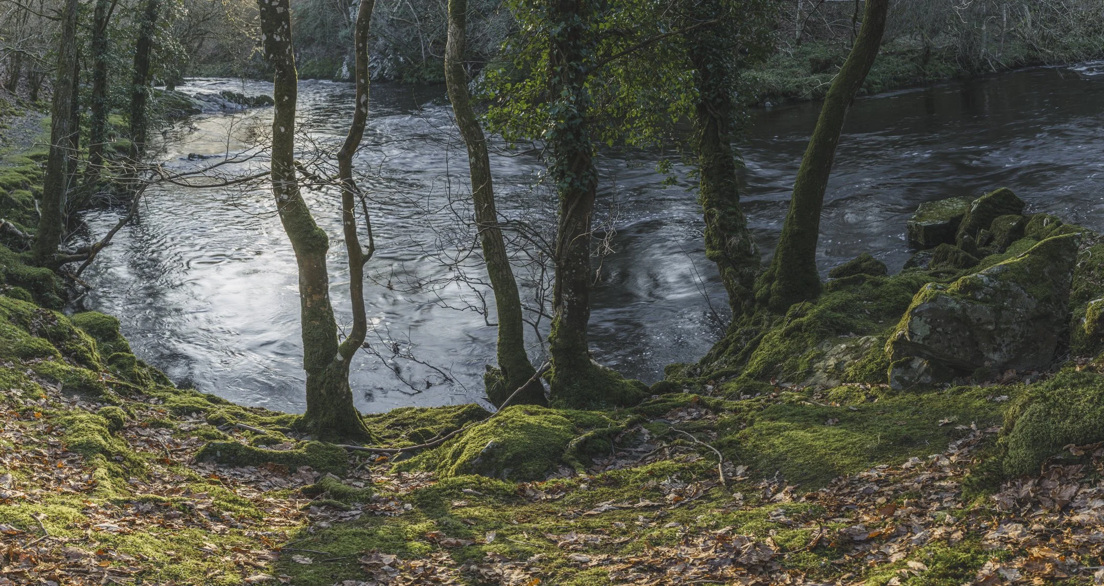 _J3A0310-Pano.jpg